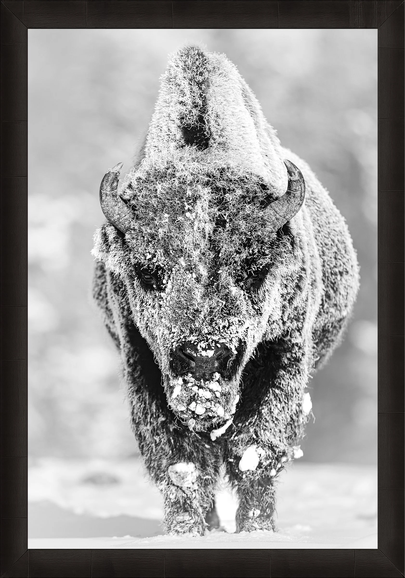 Blake-DeBock-28-Below_web-Framed-Summit-Ash_web.jpg