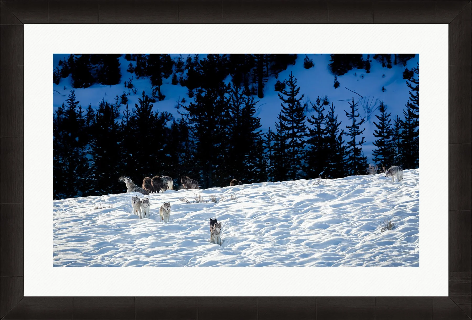 DeBock-Wapiti-Wolf-Pack-Framed-Dark-Ash-Wht-Liner-1800x.jpg