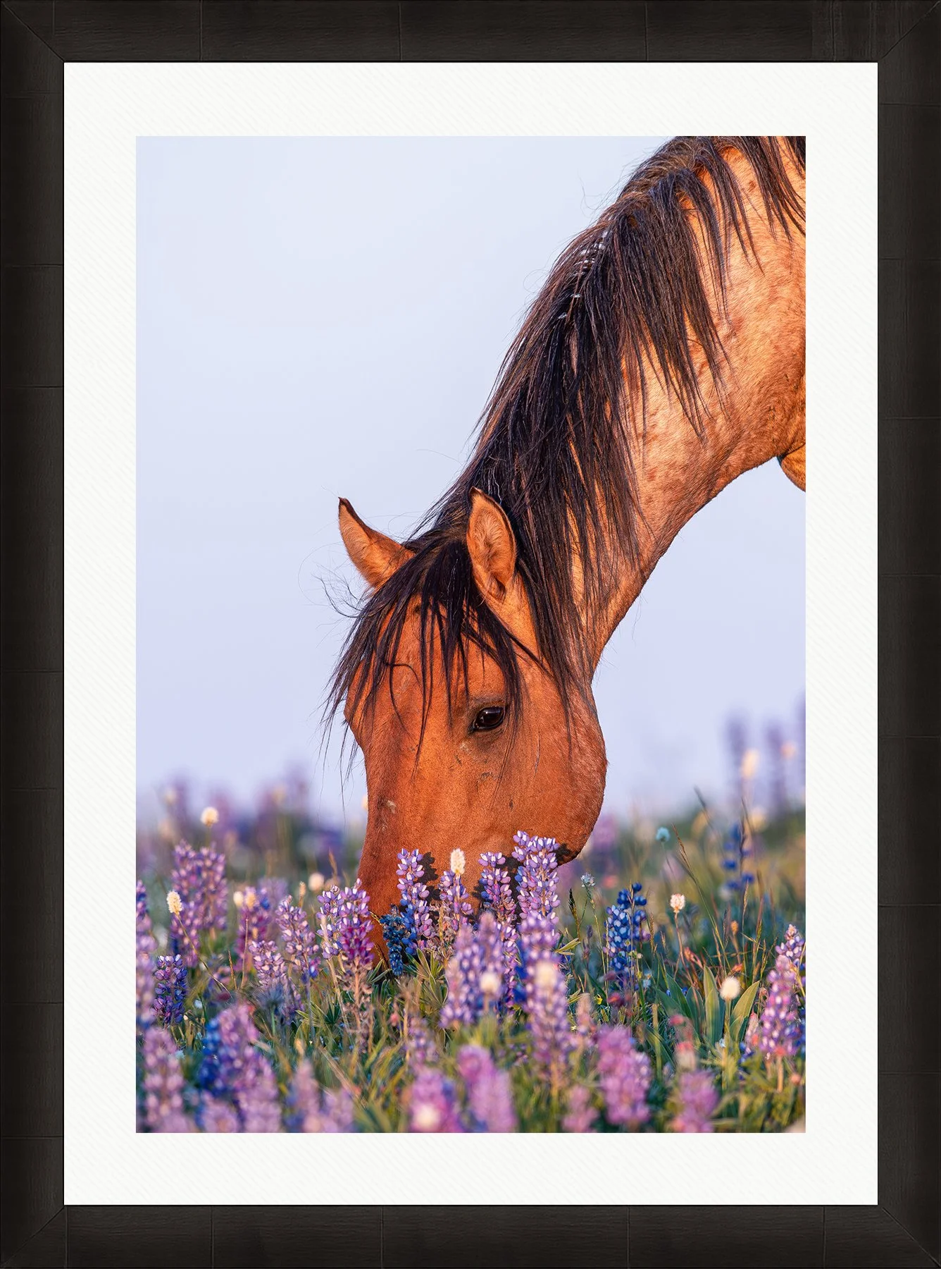 DeBock-Wildflower-Spirit-Framed-Dark-Ash-Wht-Liner-1800x.jpg