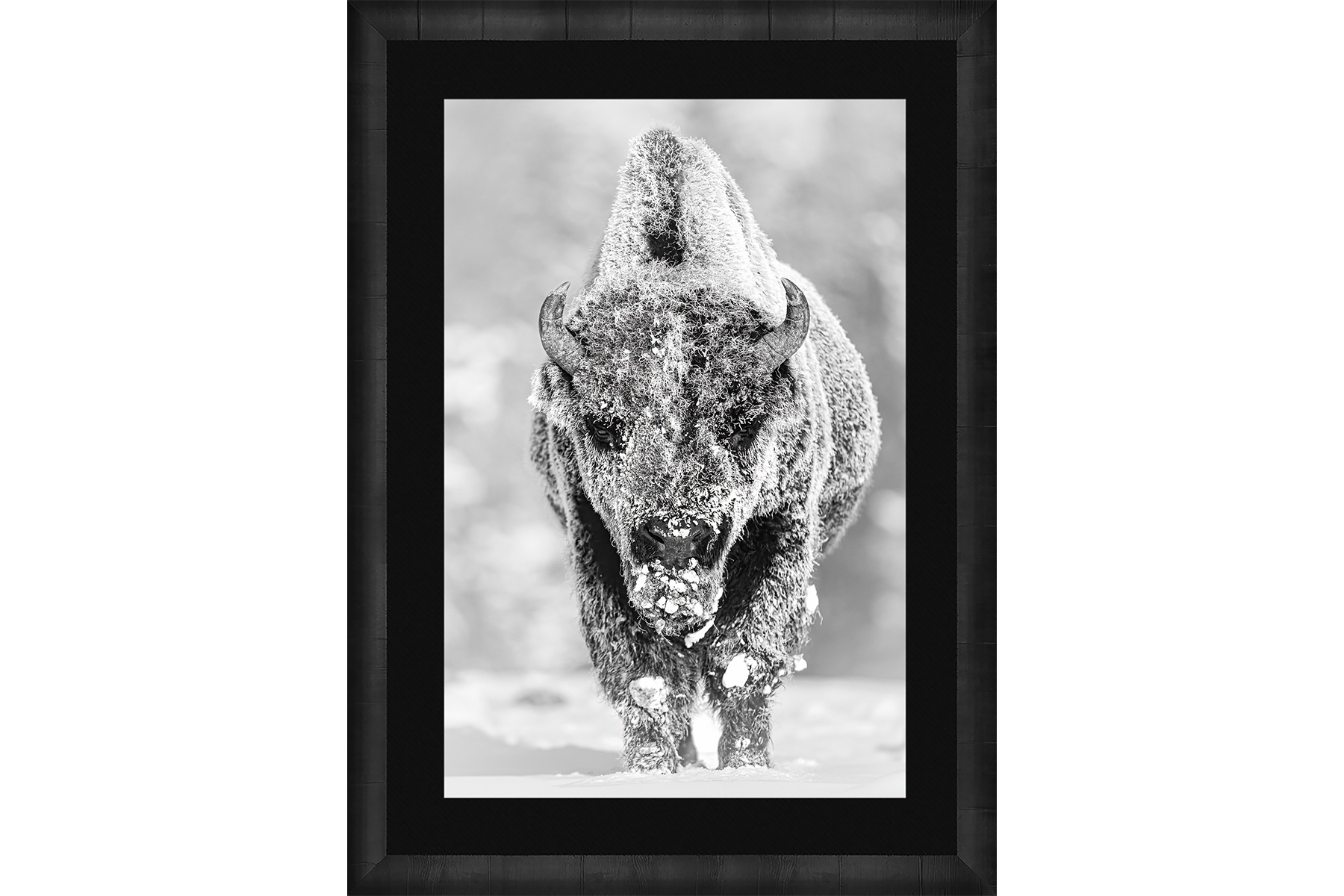 28 BELOW - ARTIST PROOF