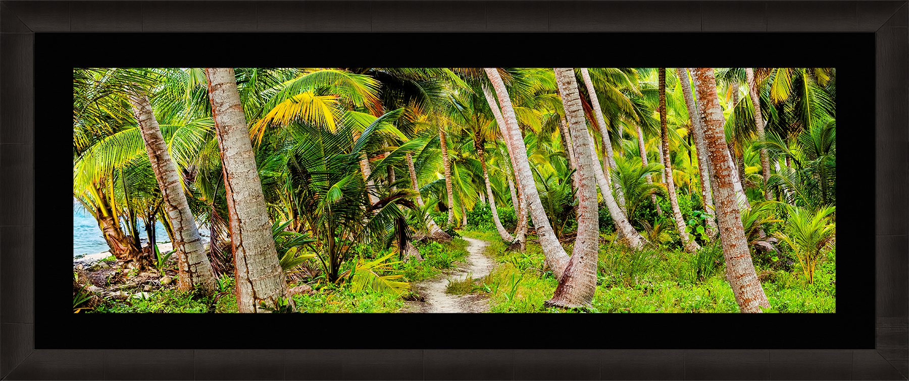 DeBock-Coconut-Isle-Framed-Dark-Ash-Blk-Liner-1800x.jpg