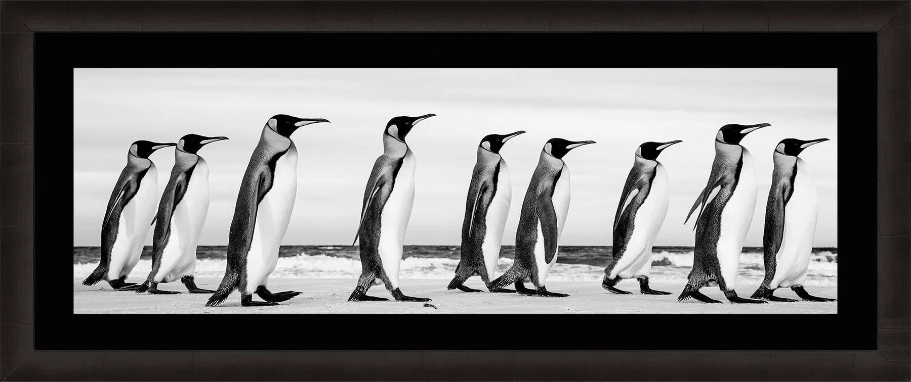 DeBock-Marching Kings-Framed-Dark-Ash-Blk-Liner-1800x.jpg