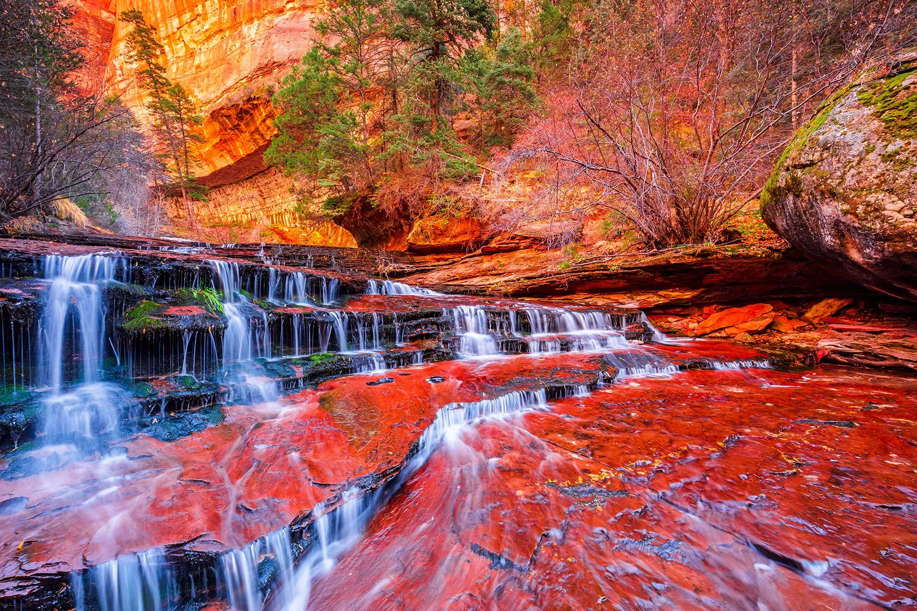 DeBock-Ancient-Canyon-1800x.jpg