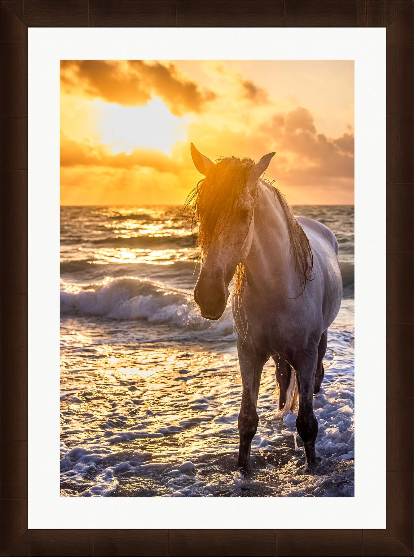DeBock-Sea-Stallion-Framed-Cigar-Leaf-Wht-Liner-1800x.jpg