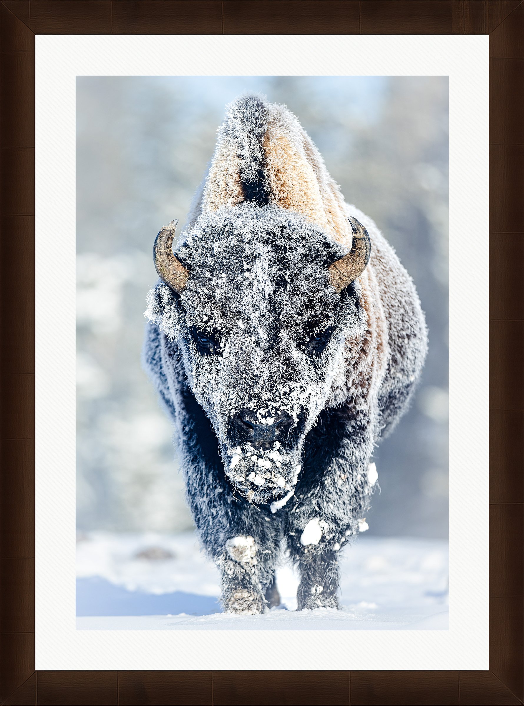 Blake-DeBock-Revenant_web-Framed-Sequoia-Leaf-Wht-Liner_web.jpg