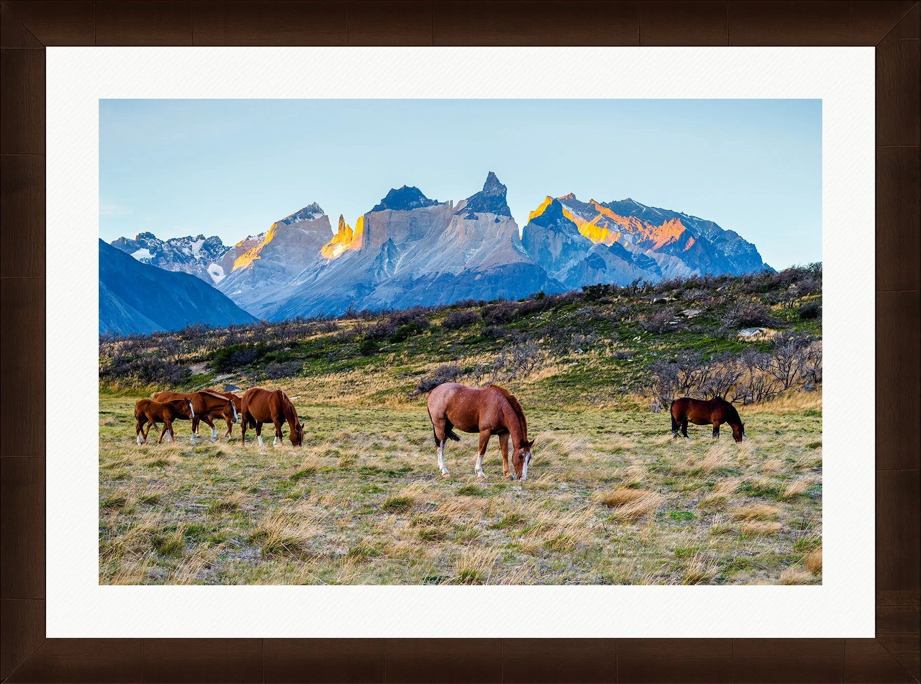 DeBock-Patagonian Horses-Framed-Cigar-Leaf-Wht-Liner-1800x.jpg