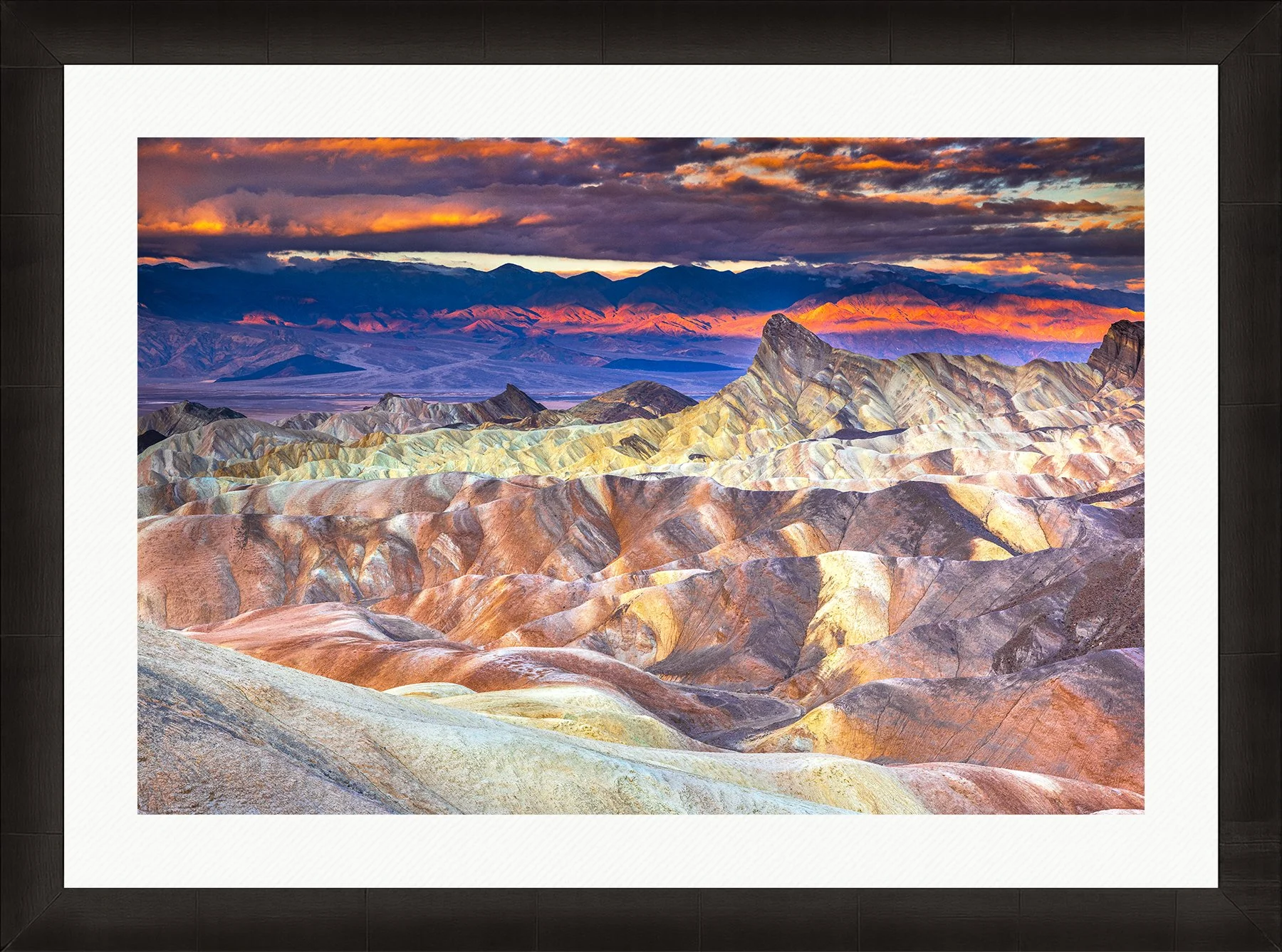 DeBock-Desert Paintbrush-Framed-Dark-Ash-Wht-Liner-1800x.jpg