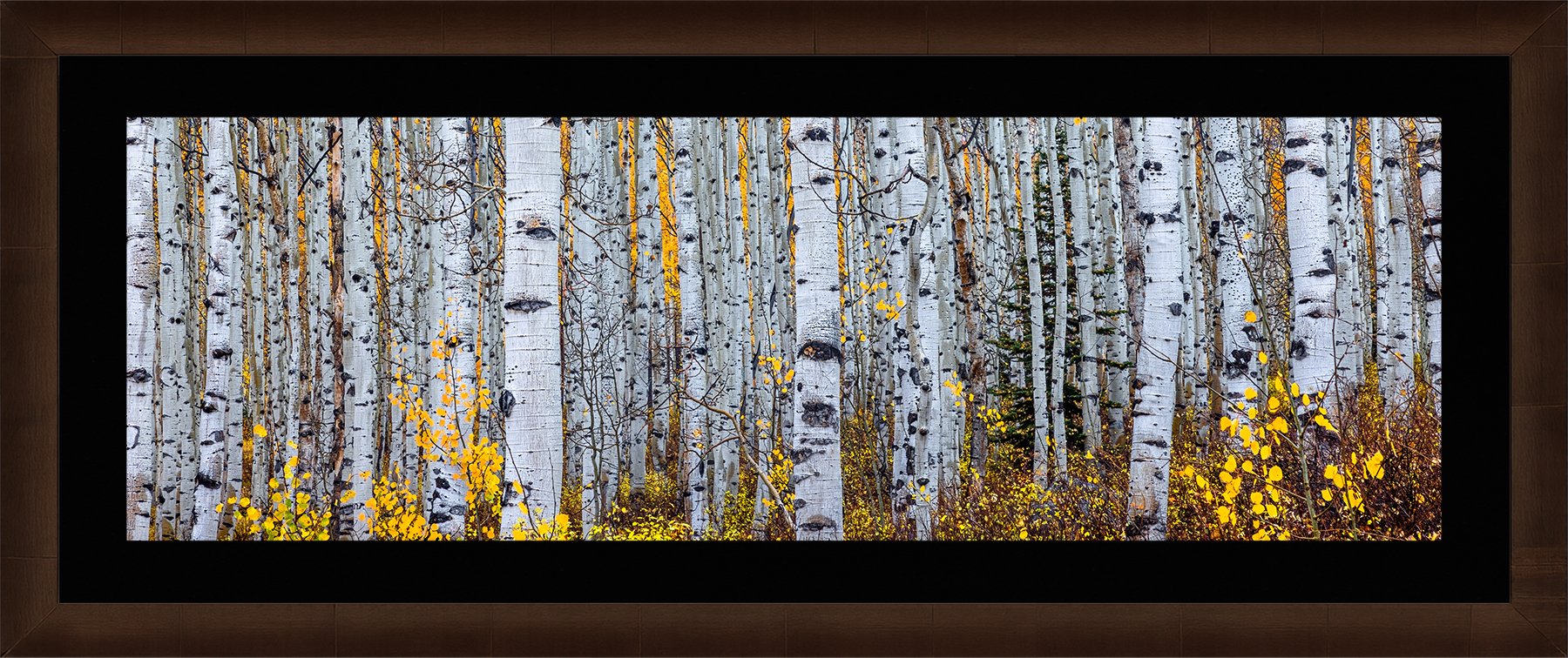 DeBock-Aspen-Forest-Framed-Cigar-Leaf-Blk-Liner-1800x.jpg