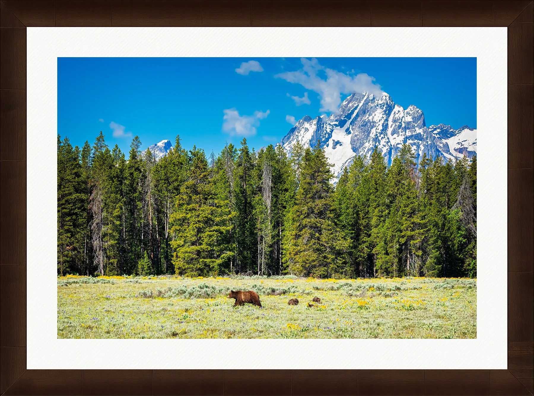 DeBock-At-Home-Framed-Cigar-Leaf-Wht-Liner-1800x.jpg