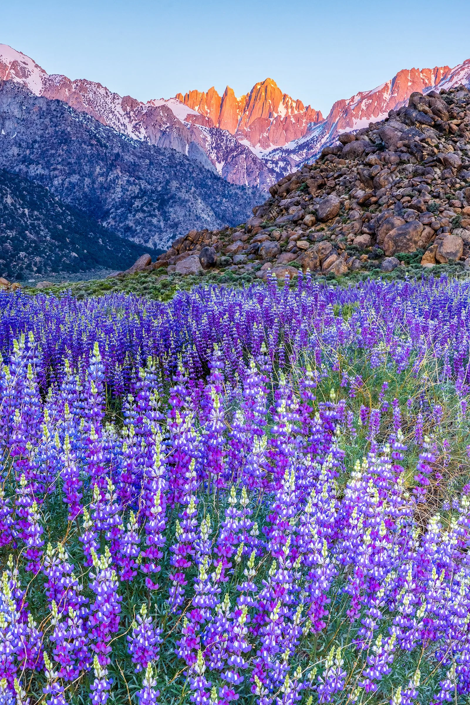 Blake-DeBock-Purple-Mountains-Majesty_web.jpg