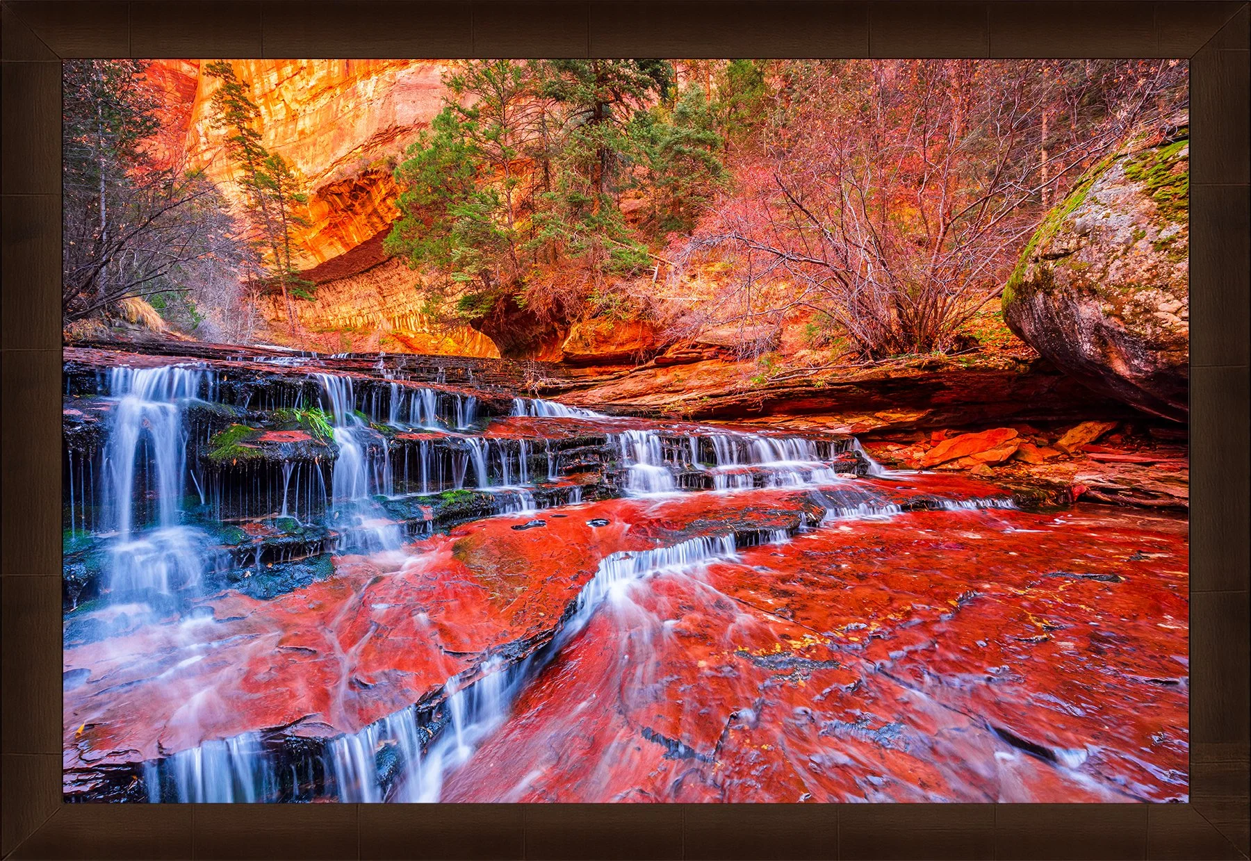 Blake-DeBock-Ancient-Canyon-Framed-Sequoia-1800x.jpg