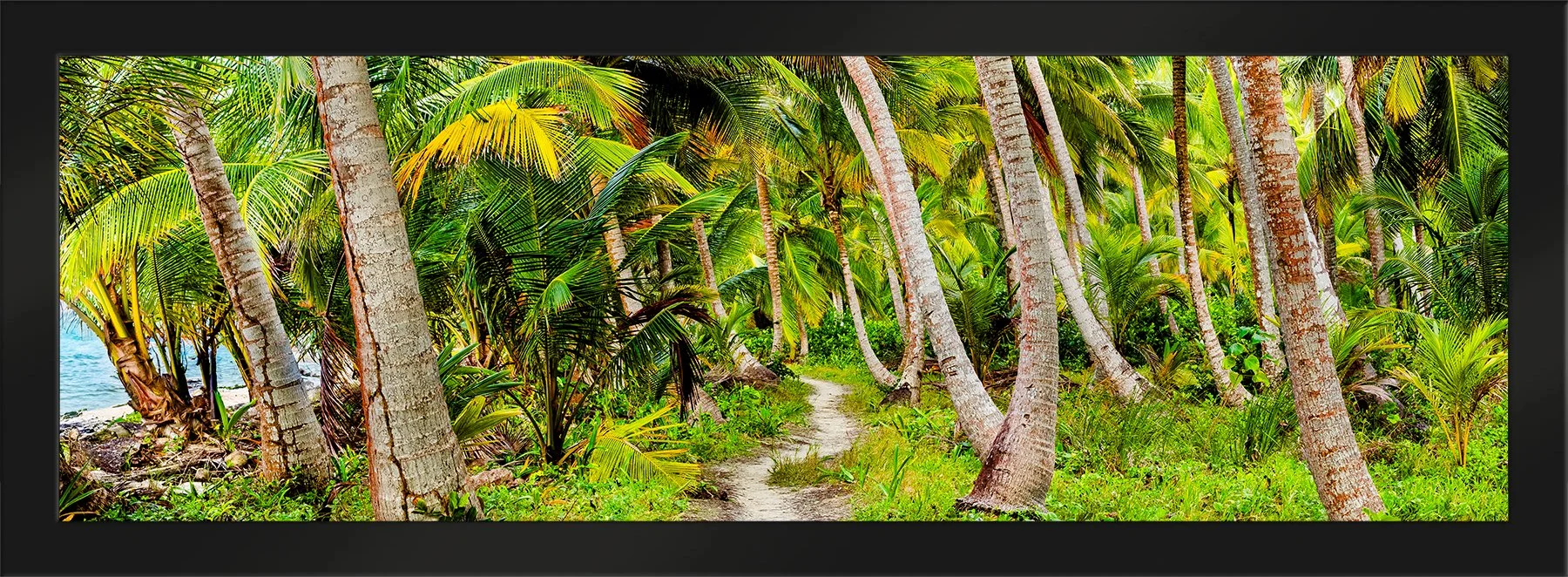 DeBock-Coconut-Isle-Framed-Matte-Black-1800x.jpg