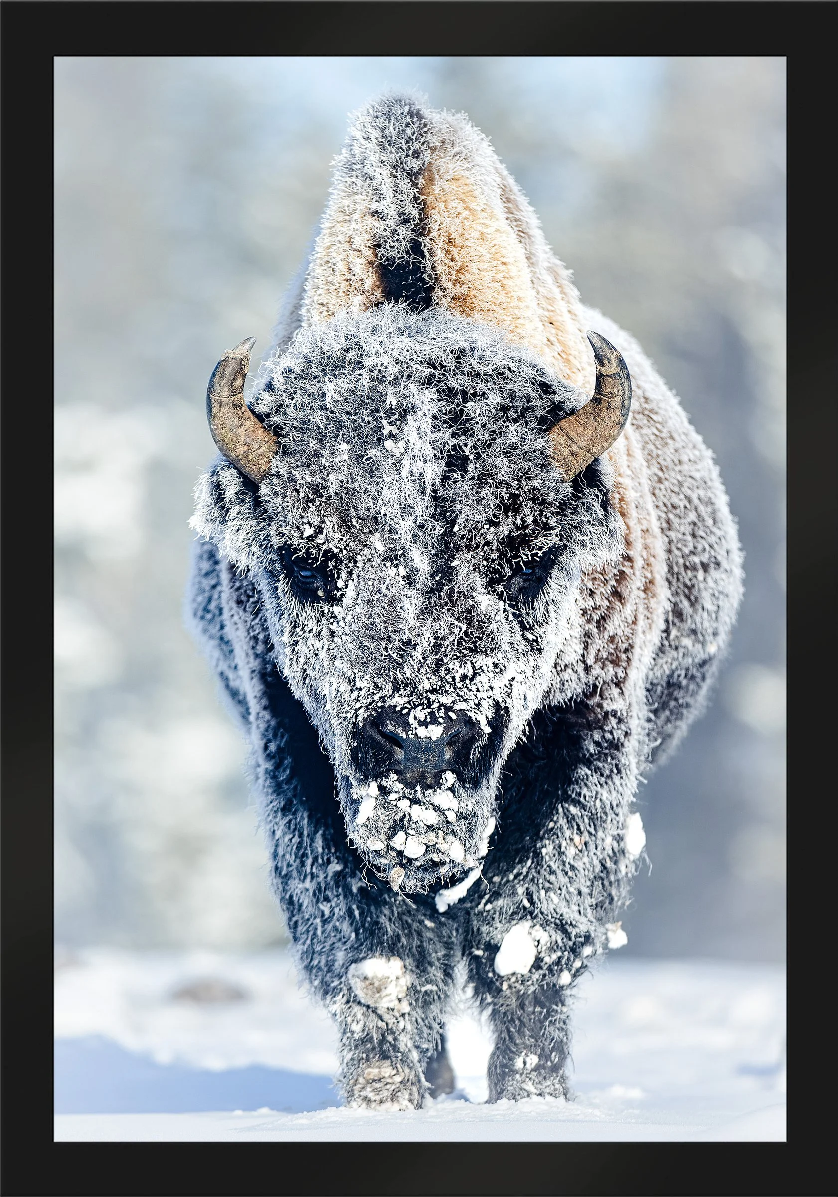 Blake-DeBock-Revenant_web-Framed-Matte-Black_web.jpg
