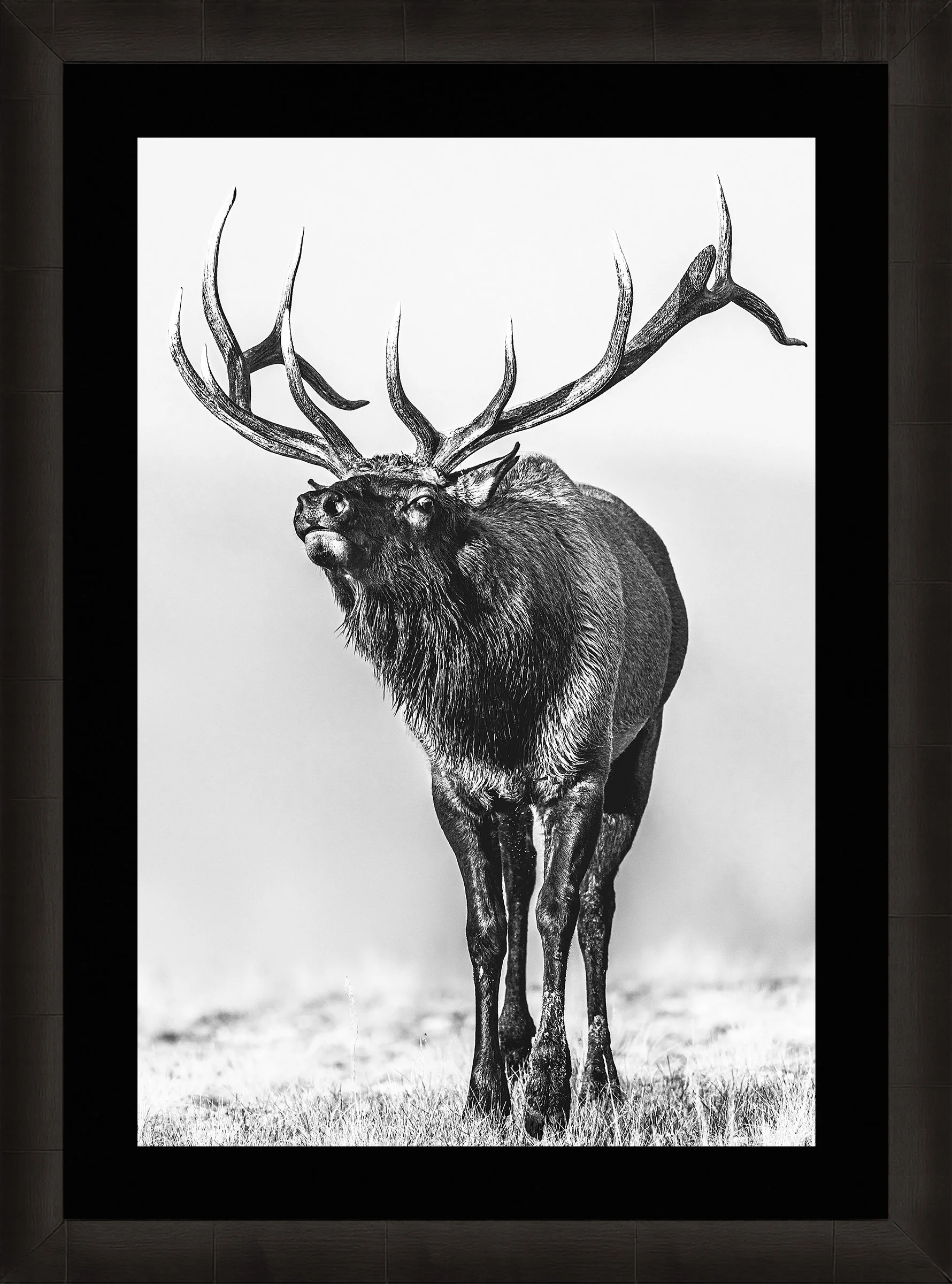 Blake-DeBock-Call-Of-The-Wild_web-Framed-Summit-Ash-Blk-Liner_web.jpg
