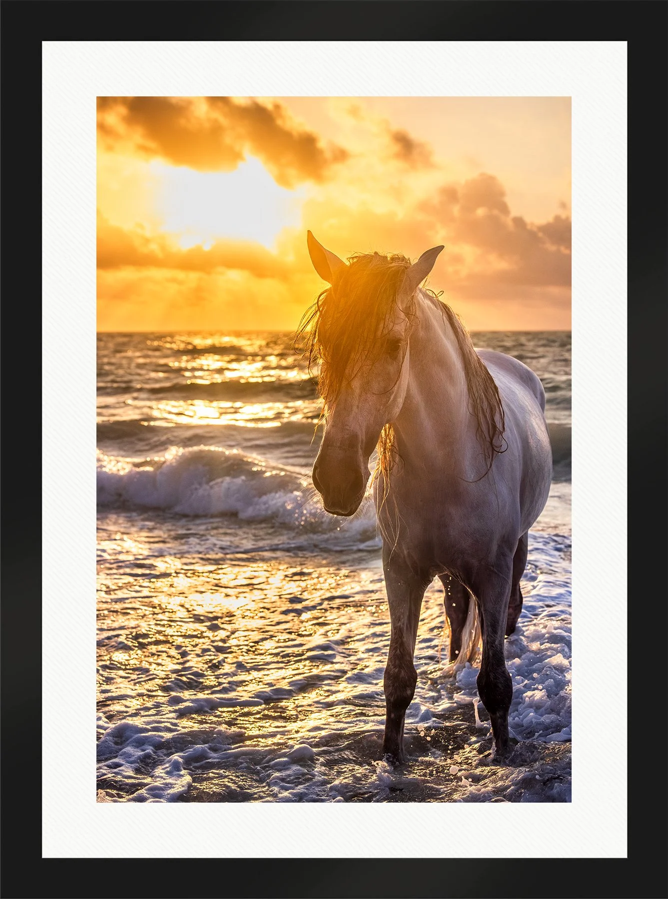 DeBock-Sea-Stallion-Framed-Matte-Black-Wht-Liner-1800x.jpg