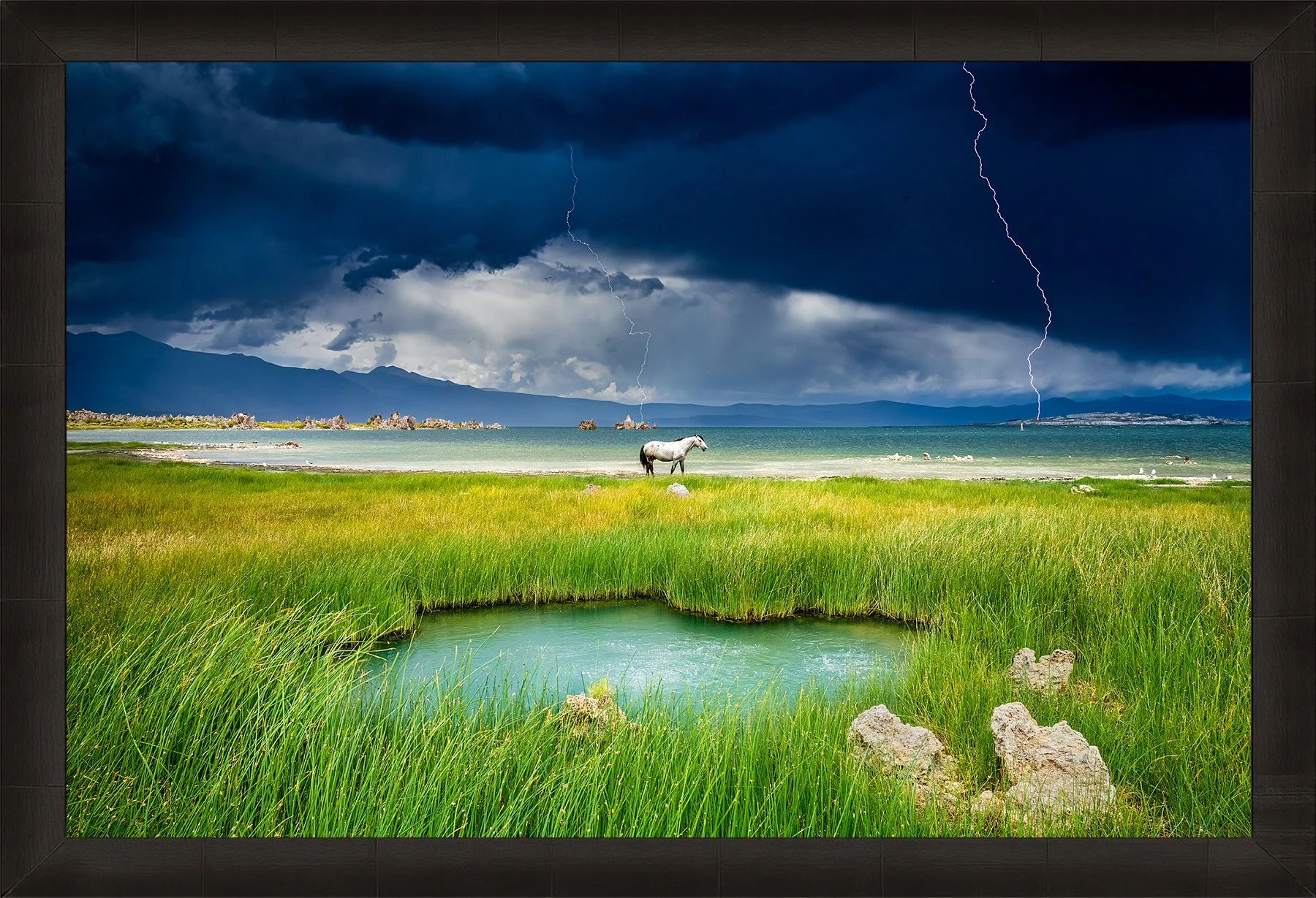 Blake-DeBock-The-Last-Stallion_web-Framed-Summit-Ash_web.jpg