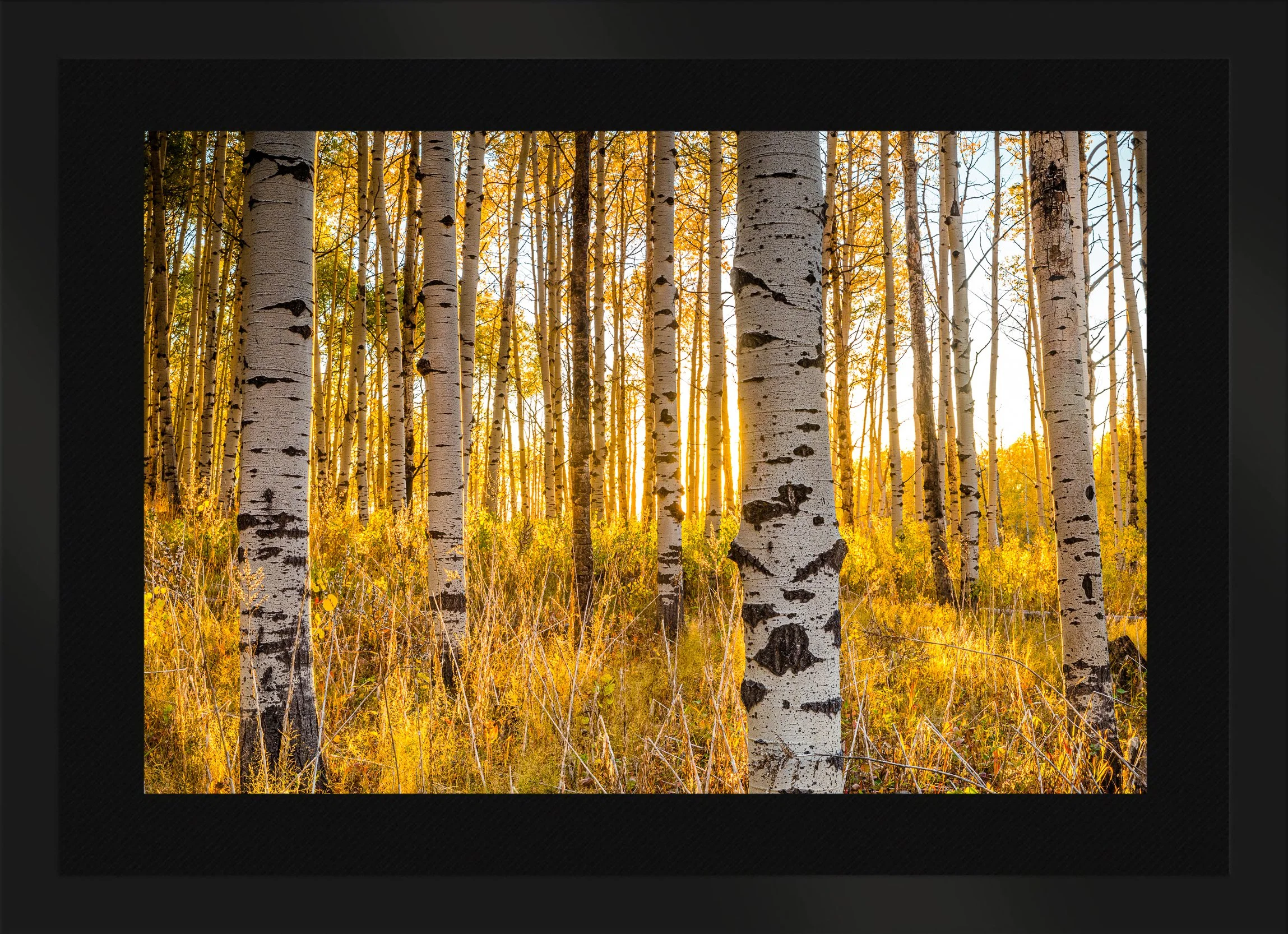 DeBock-Aspen-Glow-Framed-Matte-Black-Blk-Liner.jpg