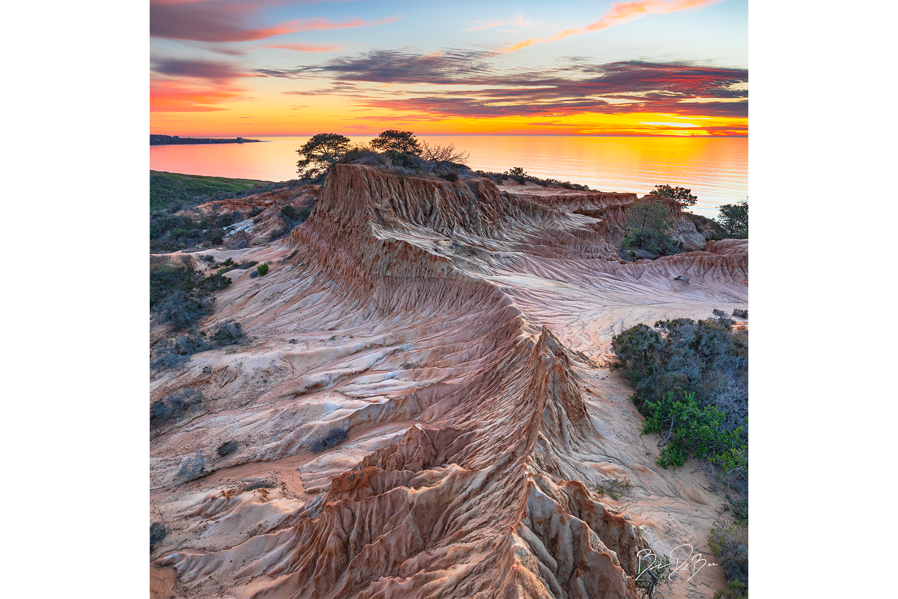 TORREY RESERVE