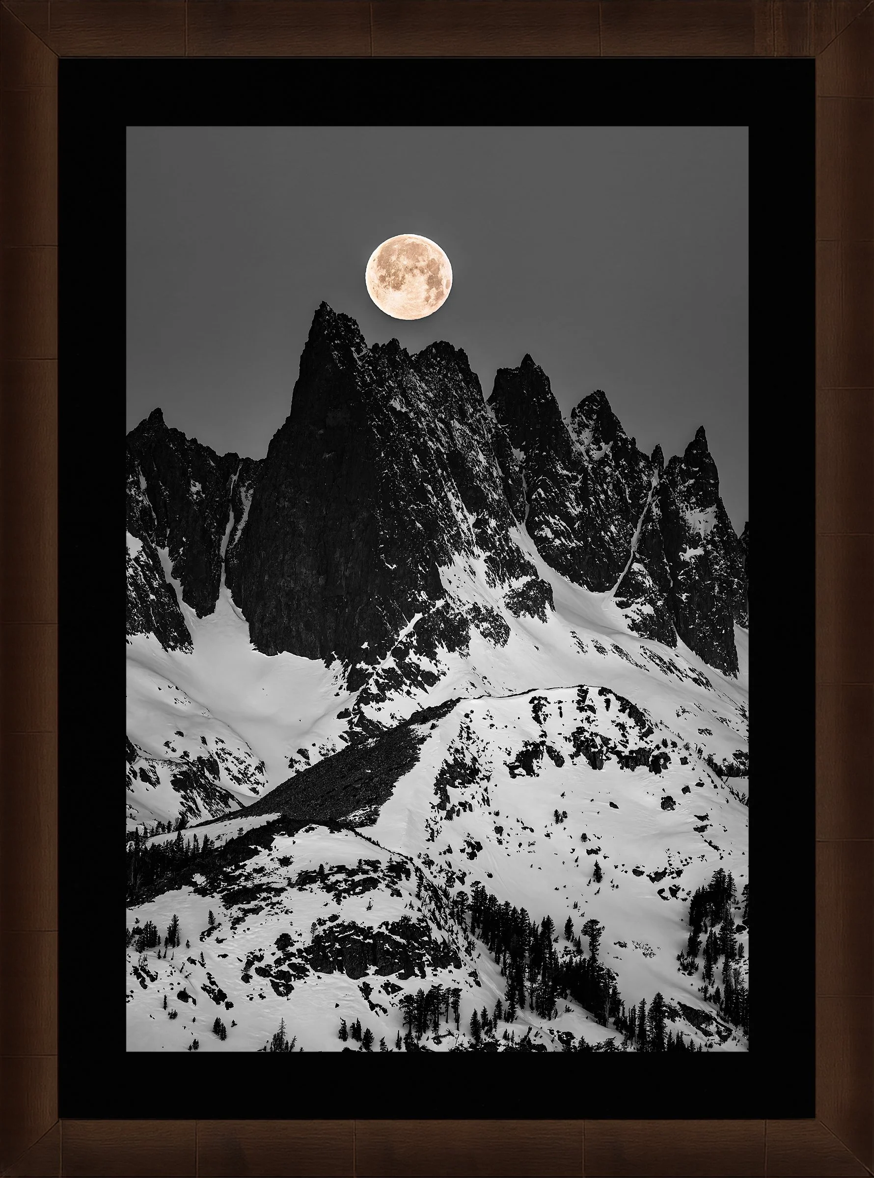 Blake-DeBock-Minaret-Noir-BW-Vertical_web-Framed-Sequoia-Leaf-Blk-Liner_web.jpg