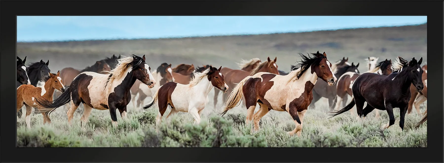 DeBock-Stampede-Framed-Matte-Black-1800x.jpg