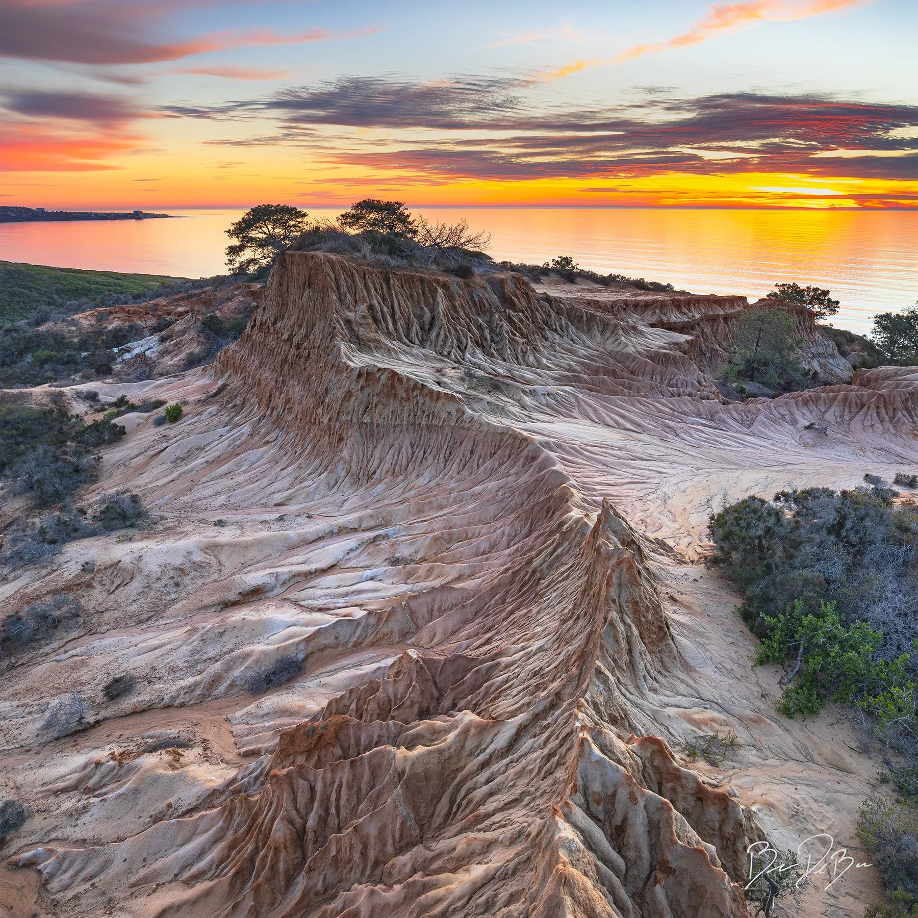 TORREY RESERVE