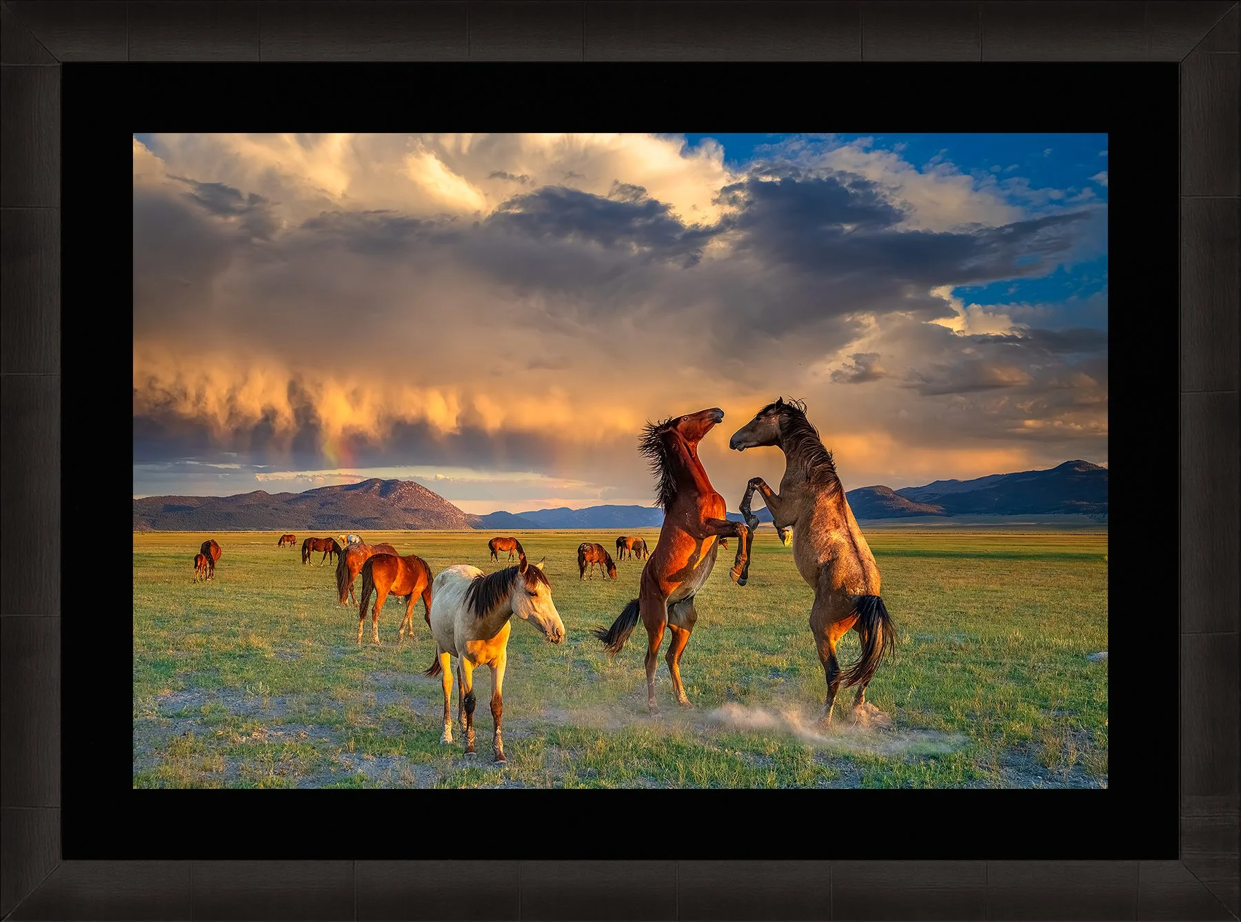 Blake-DeBock-Moment-of-Peace-Web-Framed-Summit-Ash-Blk-Liner-1800x.jpg