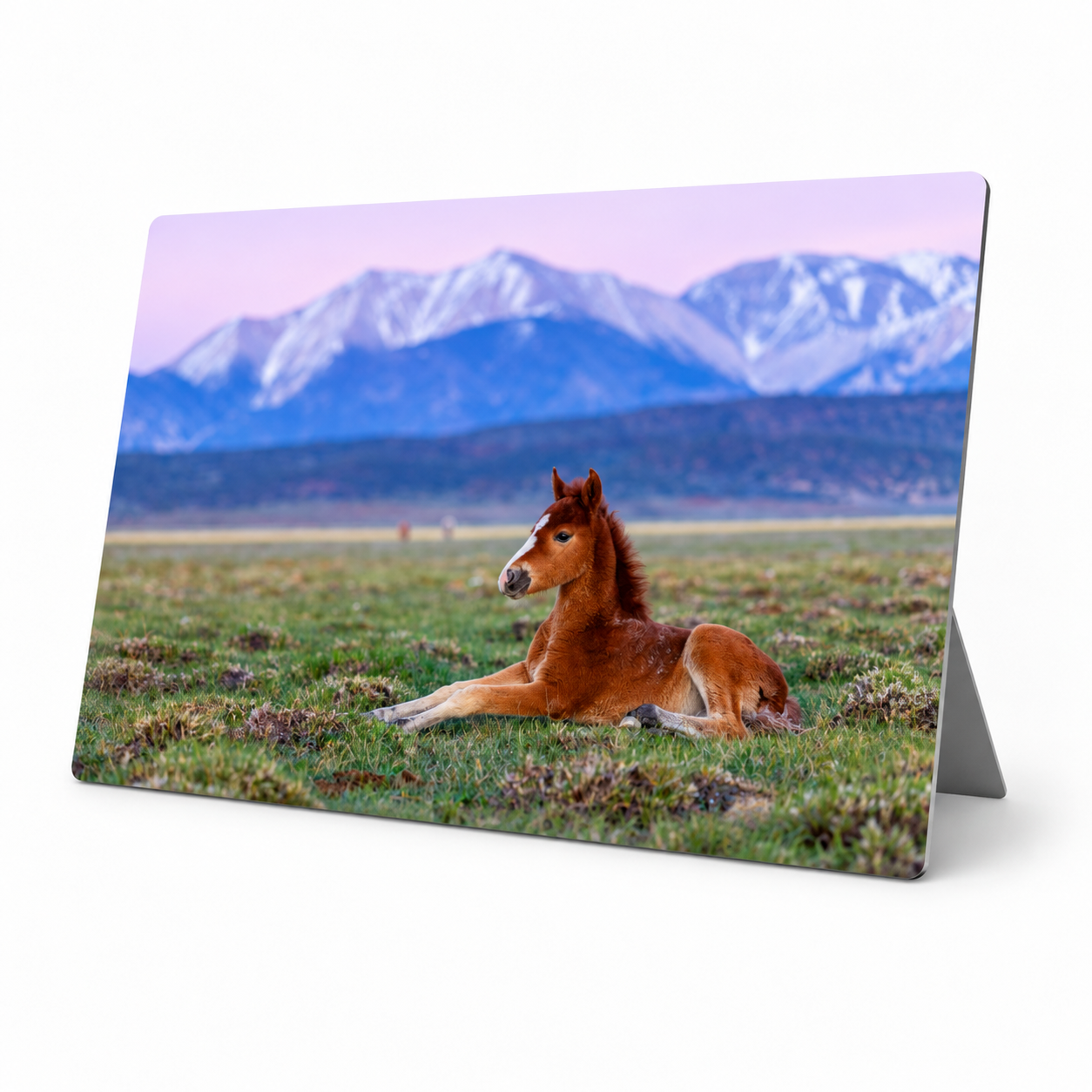 Blake-DeBock-Born-Beneath-the-Mountains-Mini-Metal.png