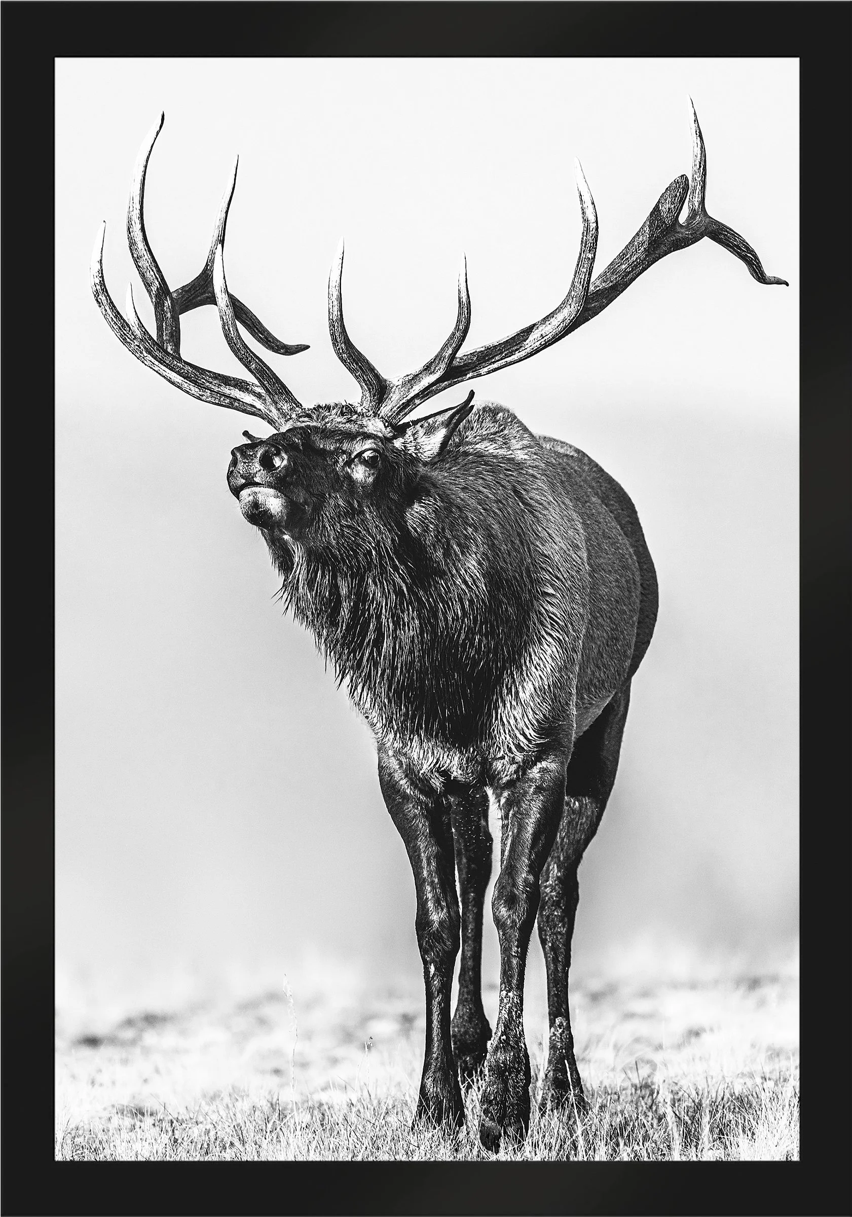 Blake-DeBock-Call-Of-The-Wild_web-Framed-Matte-Black_web.jpg
