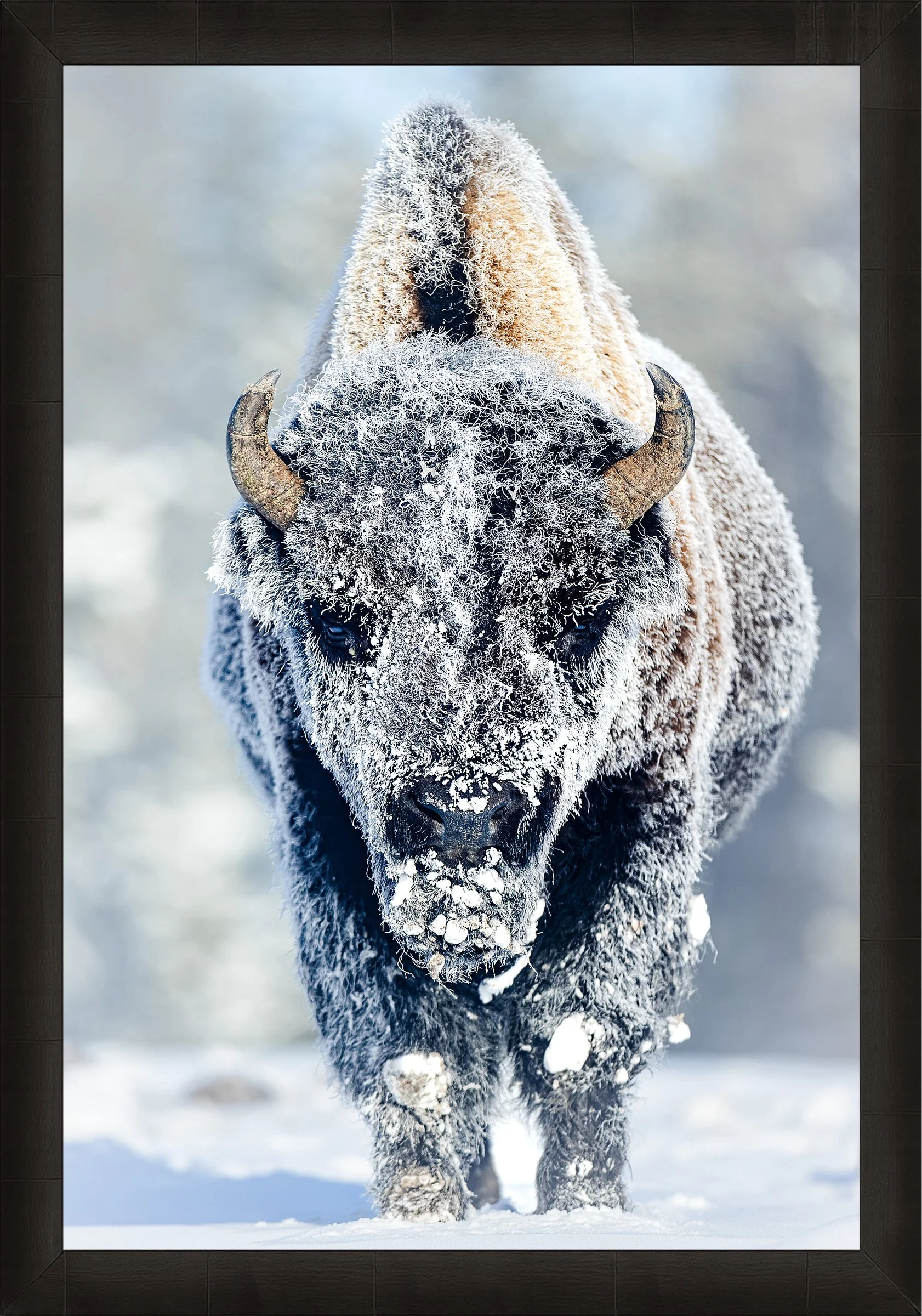 Blake-DeBock-Revenant_web-Framed-Summit-Ash_web.jpg