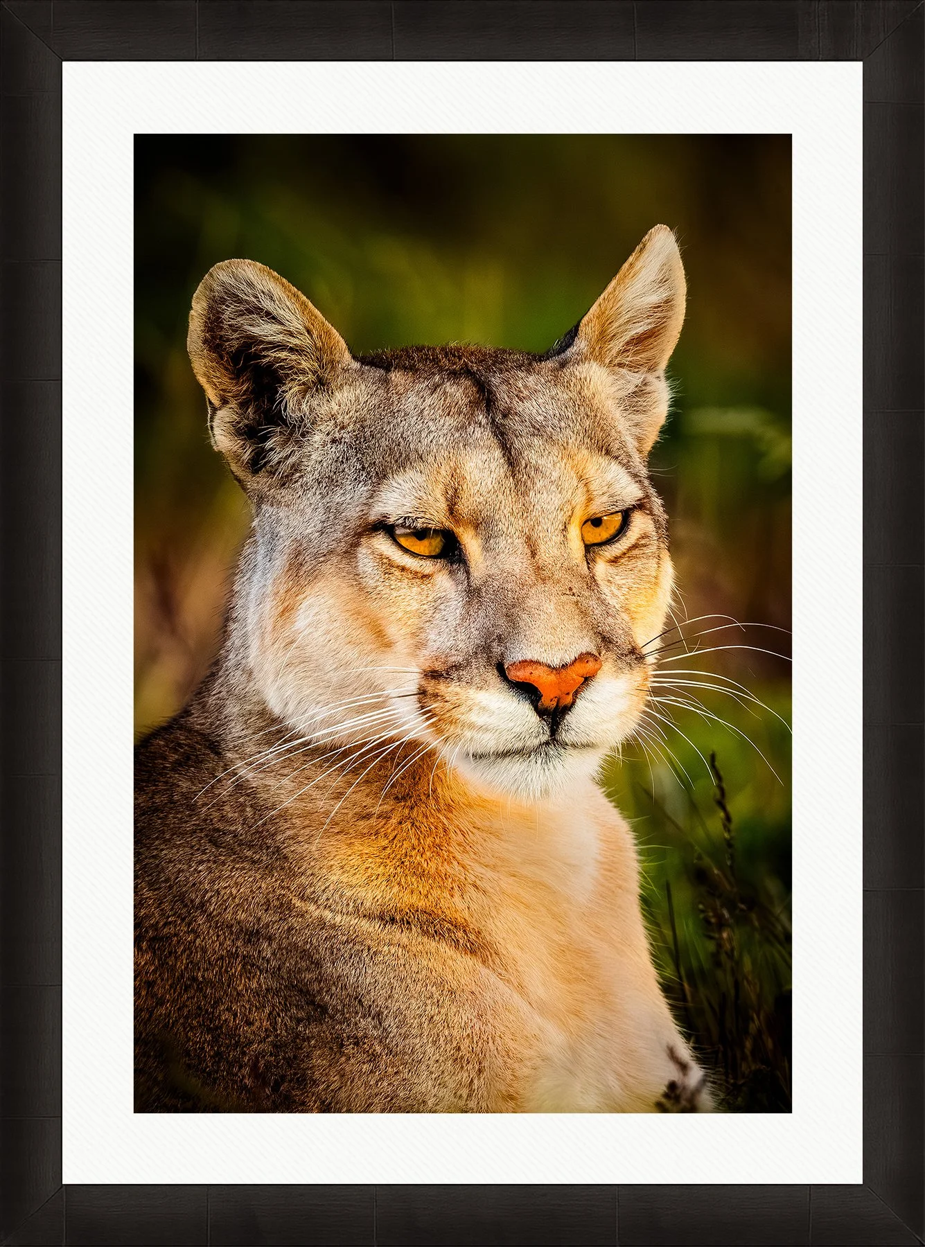 Blake-DeBock-Wild-Beauty-Framed-Summit-Ash-Wht-Liner_web.jpg