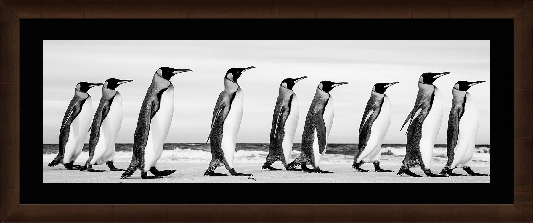 DeBock-Marching Kings-Framed-Cigar-Leaf-Blk-Liner-1800x.jpg