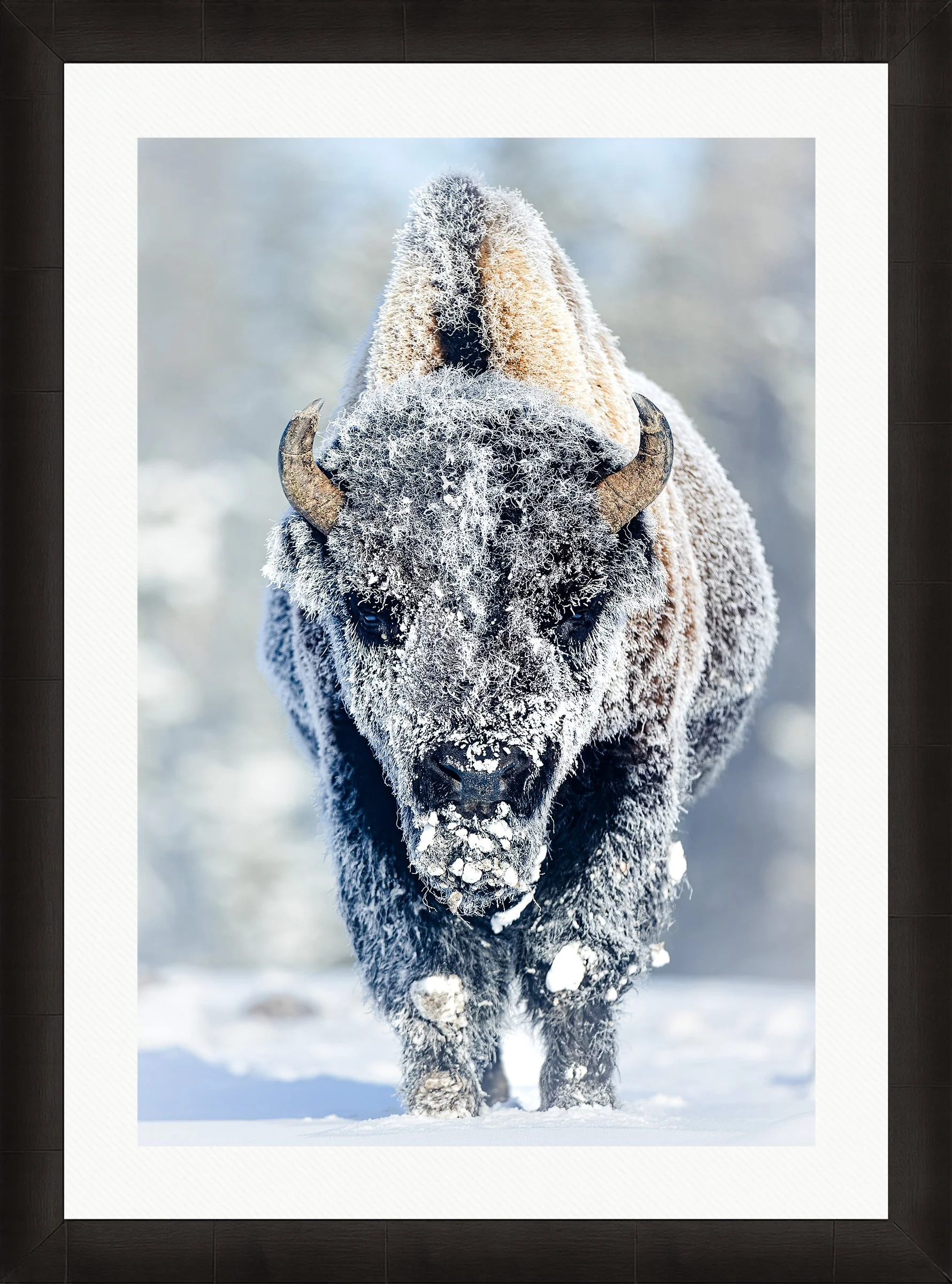 Blake-DeBock-Revenant_web-Framed-Summit-Ash-Wht-Liner_web.jpg