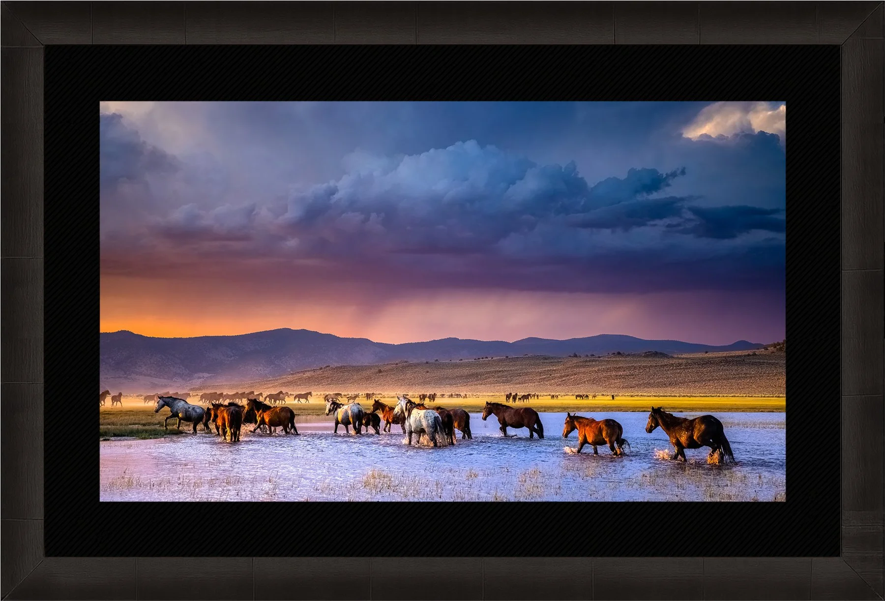 Blake-DeBock-Western-Dreams-1800x-Framed-Summit-Ash-Blk-Liner_web.jpg