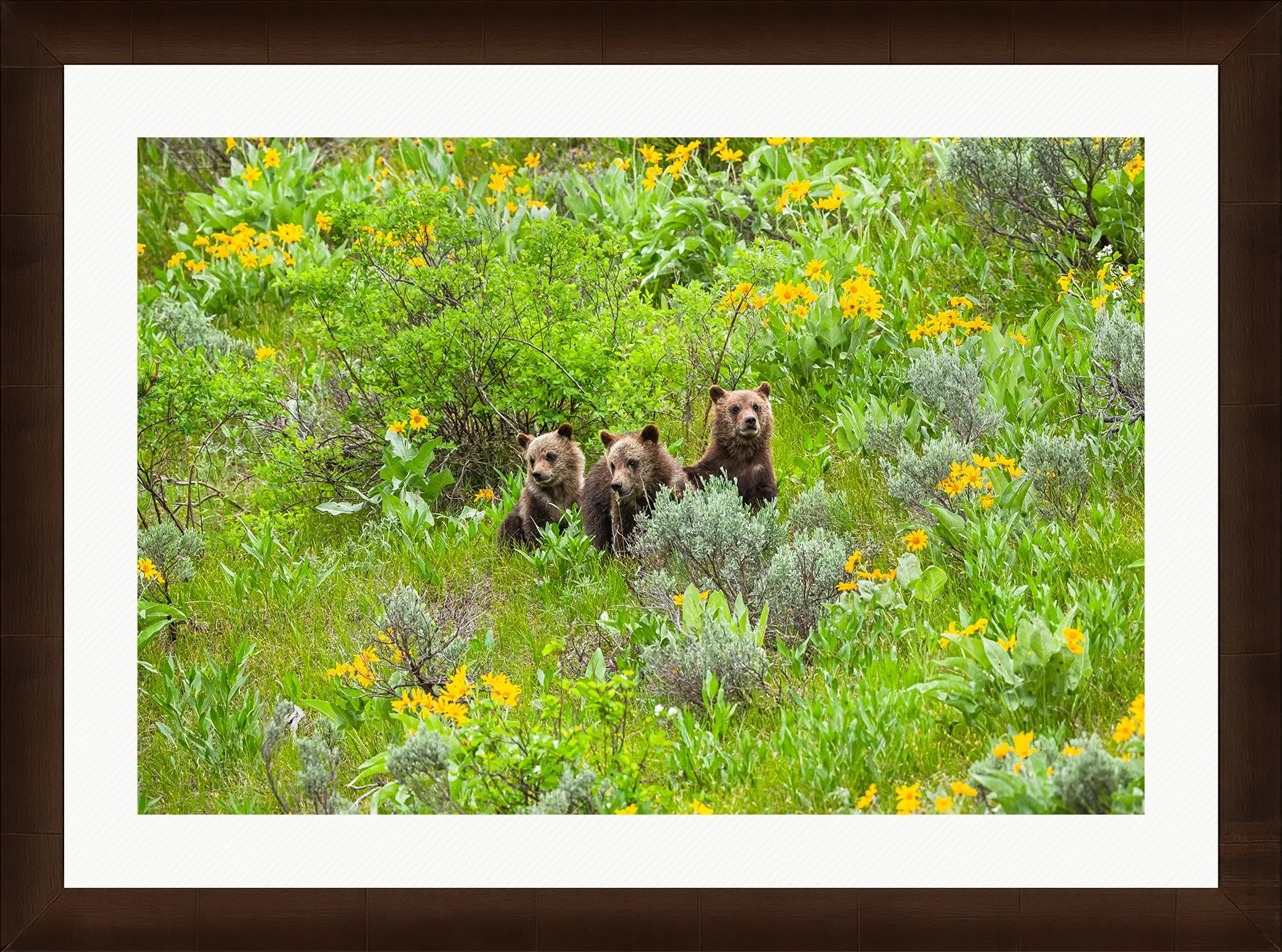 DeBock-Together-In-The-Wildflowers-Framed-Cigar-Leaf-Wht-Liner-1800x.jpg