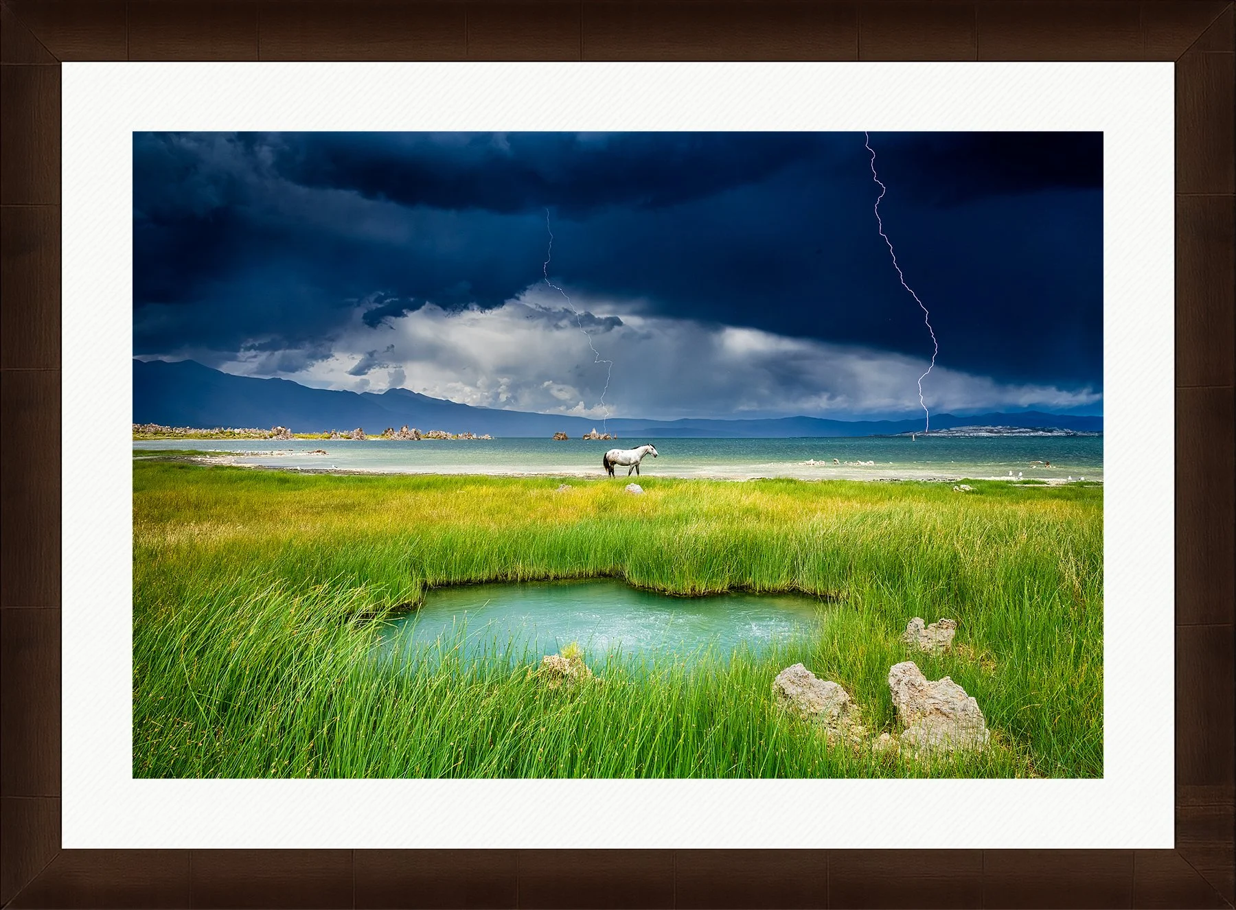 Blake-DeBock-The-Last-Stallion_web-Framed-Sequoia-Wht-Liner_web.jpg