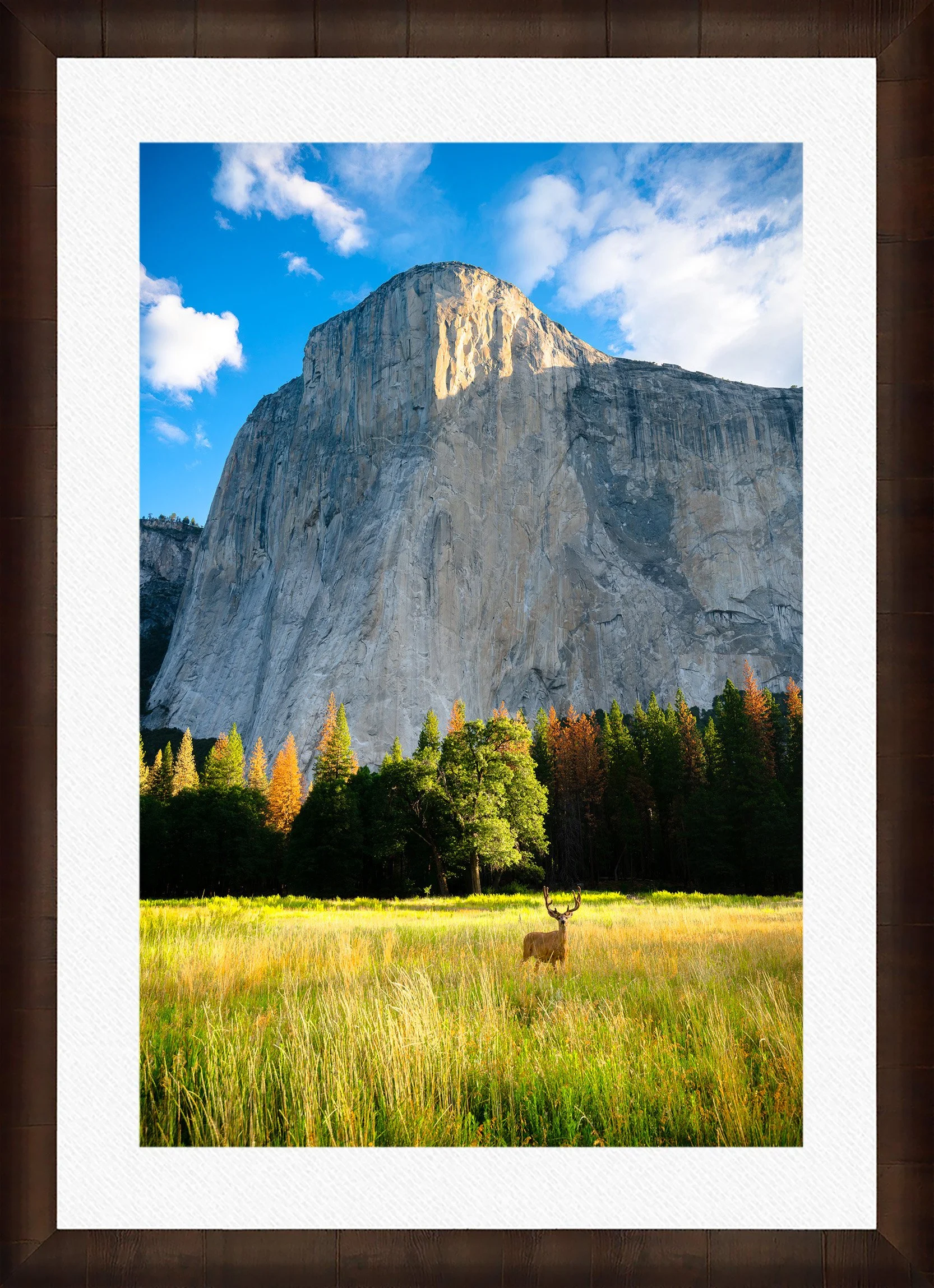 DeBock-El-Cap-Meadow-Framed-Cigar-Leaf-Wht-Liner.jpg