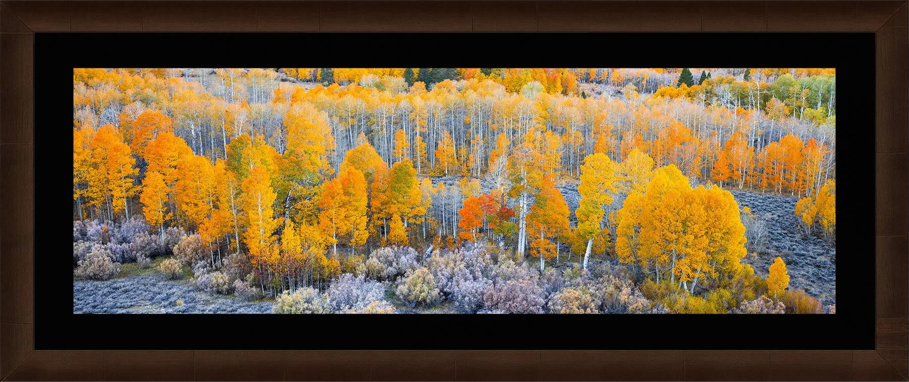 DeBock-Sierra-Aspens-Framed-Cigar-Leaf-Blk-Liner-1800x.jpg