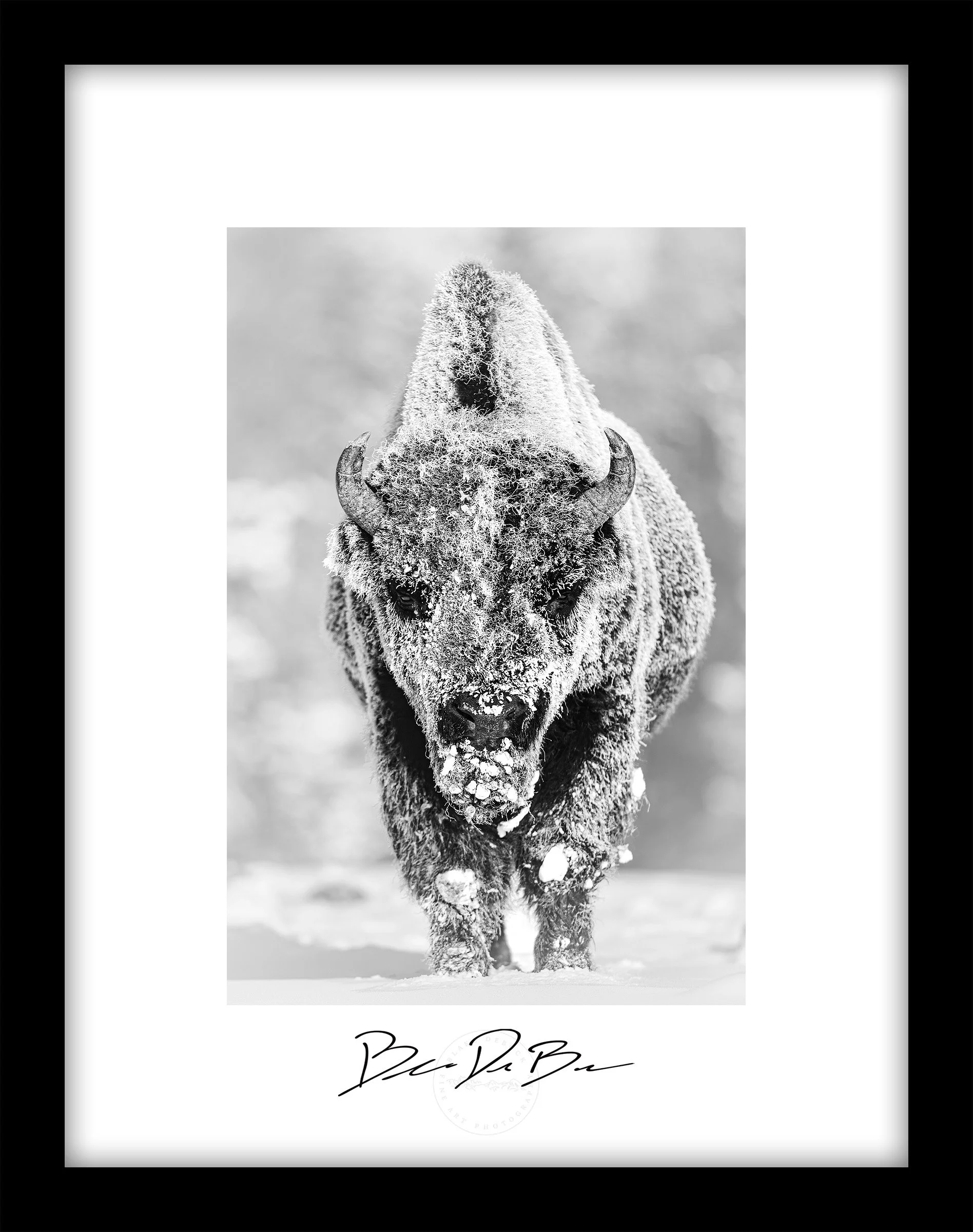 Poster-28-Below-17x13V-Framed.jpg