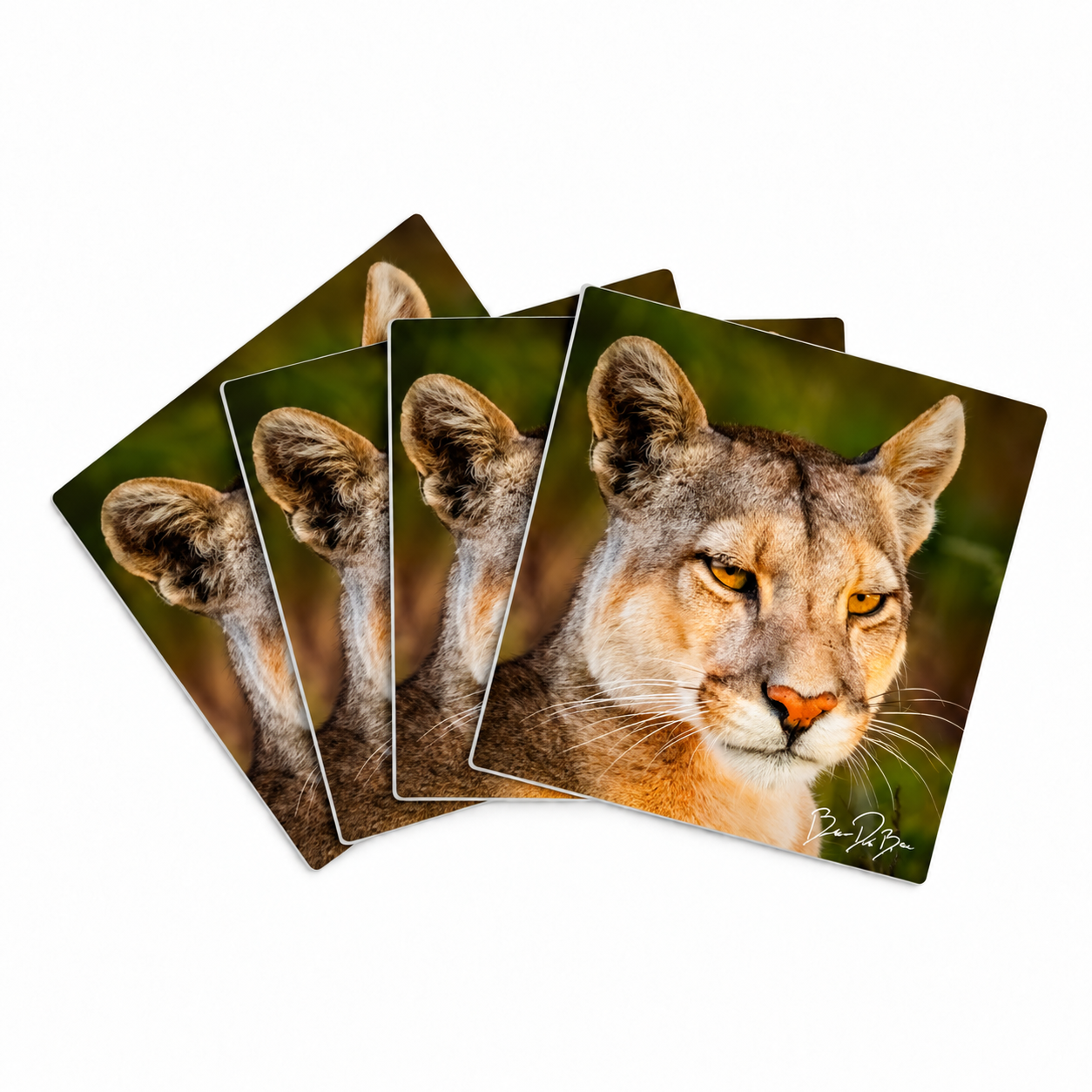 Blake-DeBock-Mountain-Lion-Coaster-Set.png