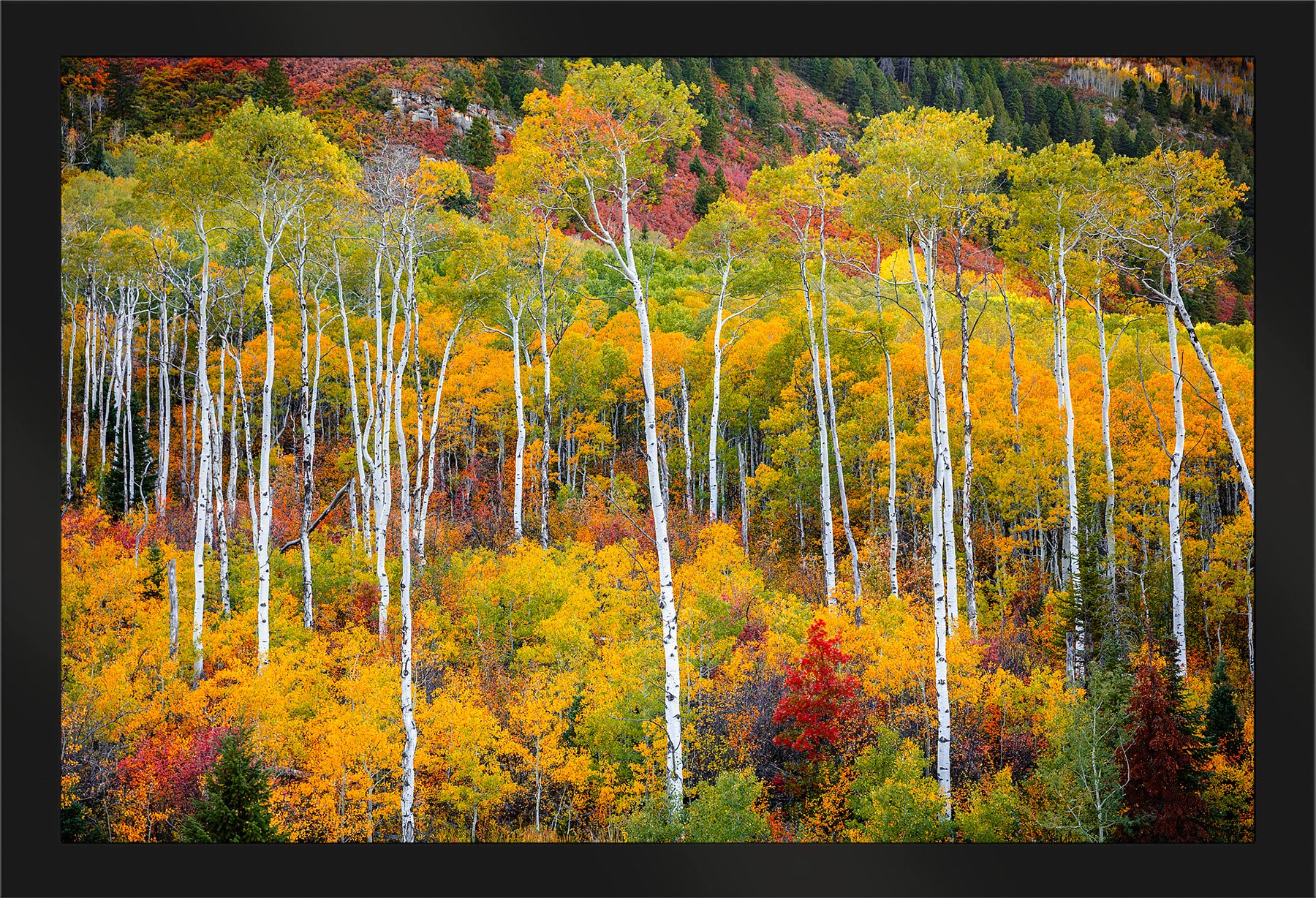 Blake-DeBock-Colorful-Colorado_web-Framed-Matte-Black_web.jpg