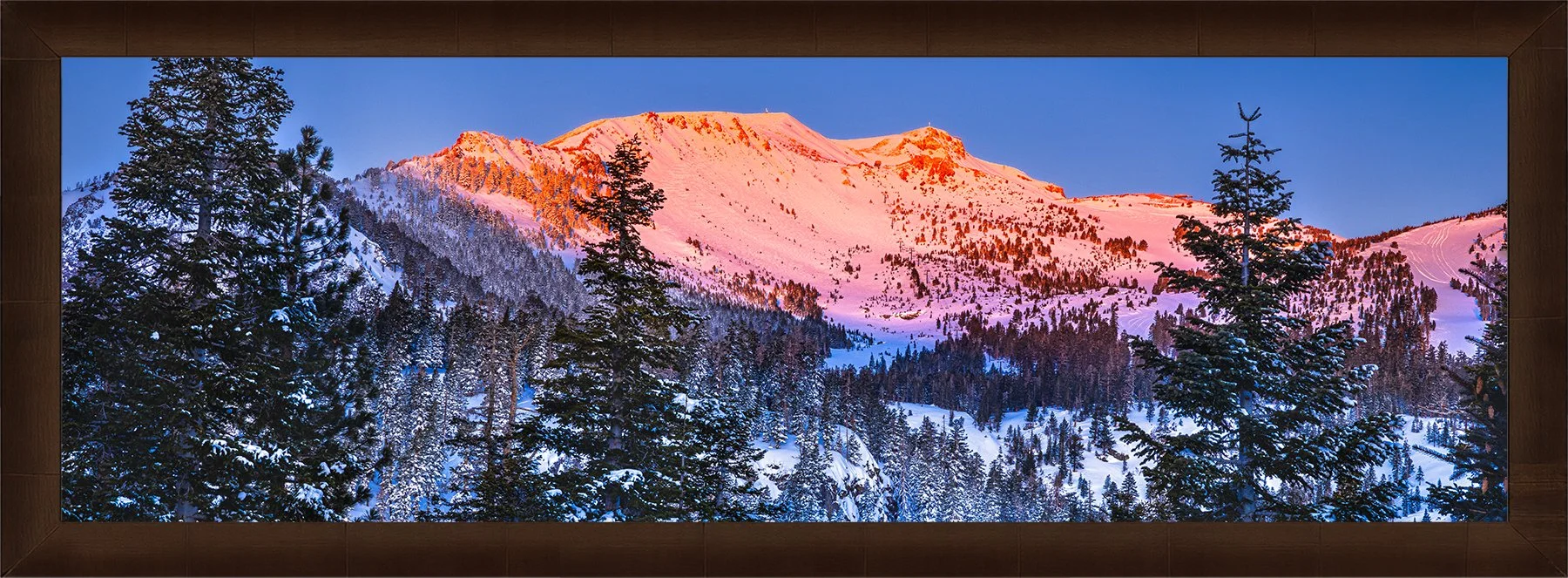 DeBock-Alpenglow-Framed-Cigar-Leaf-1800x.jpg
