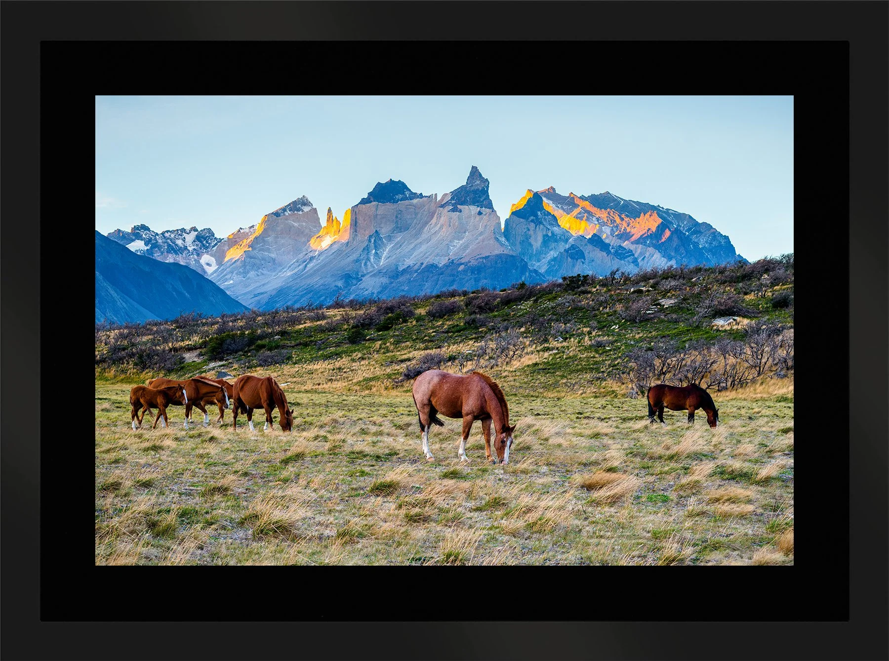 DeBock-Patagonian Horses-Framed-Matte-Black-Blk-Liner-1800x.jpg