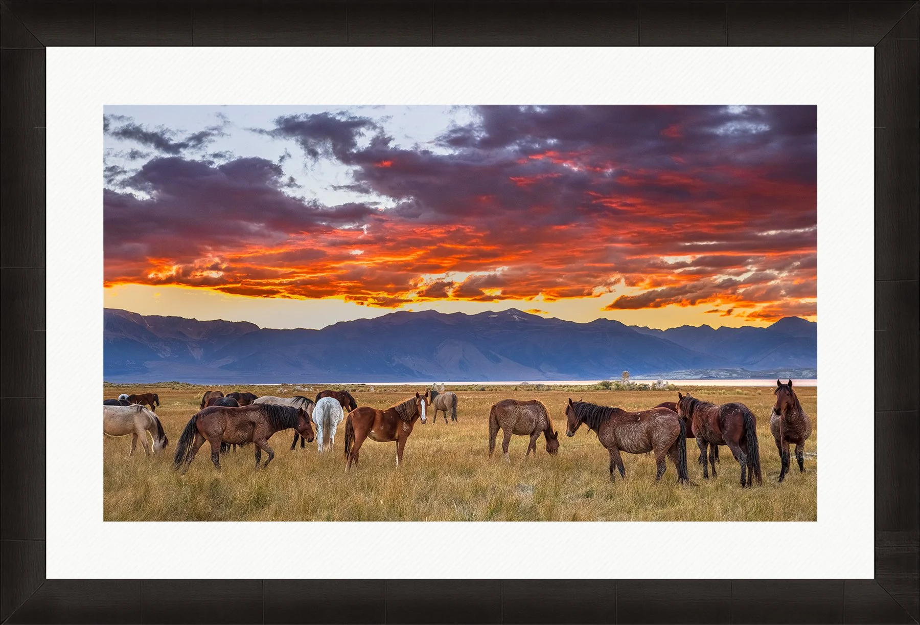 DeBock-As-Day-Ends-At-Mono-Lake-Framed-Dark-Ash-Wht-Liner-1800x.jpg