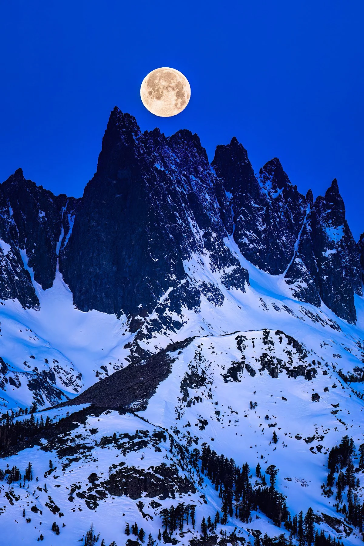 Blake-DeBock-Minaret-Moon-CUSTOM-Vertical-1800x.jpg