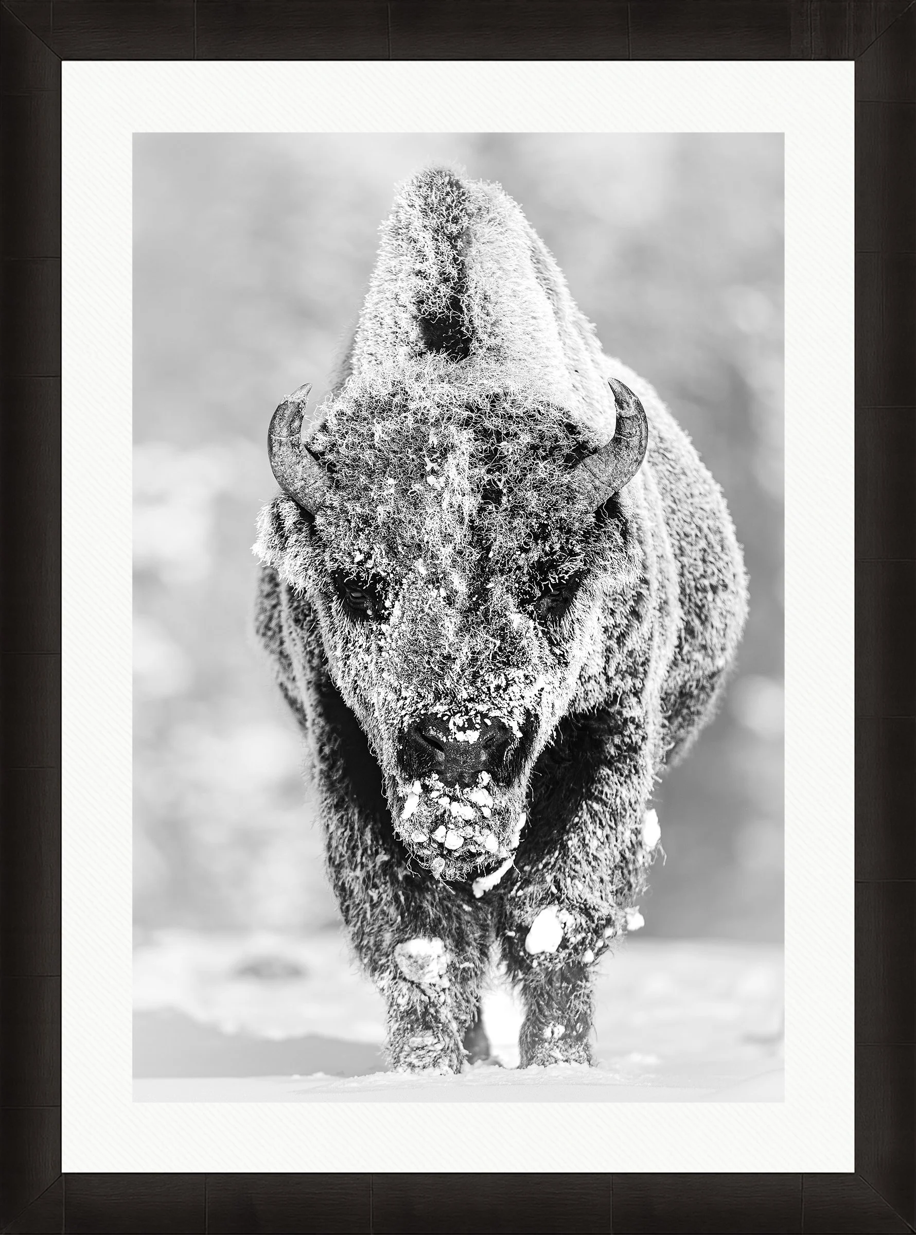 Blake-DeBock-28-Below_web-Framed-Summit-Ash-Wht-Liner_web.jpg
