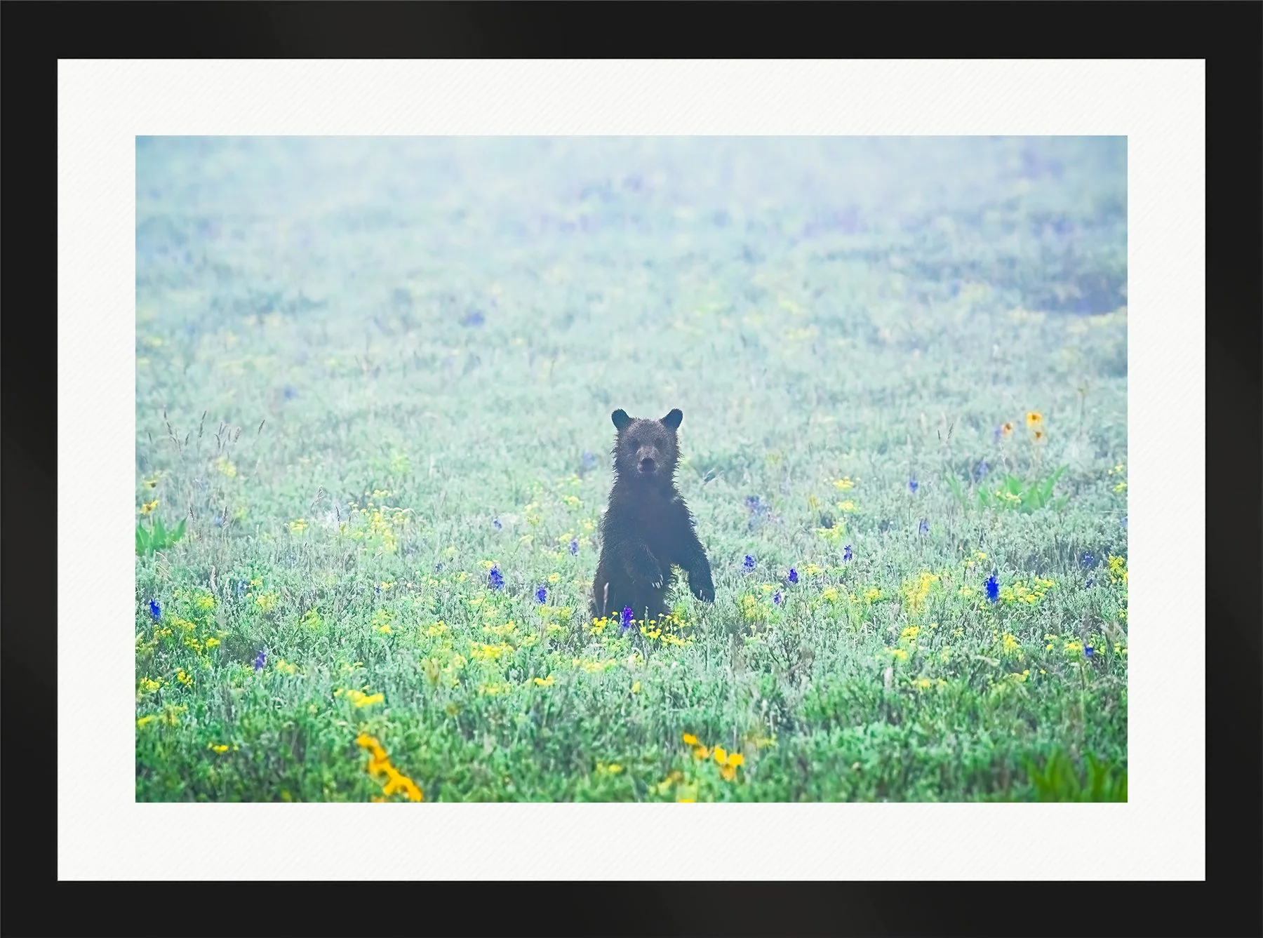 DeBock-Misty-Cub-Framed-Matte-Black-Wht-Liner-1800x.jpg