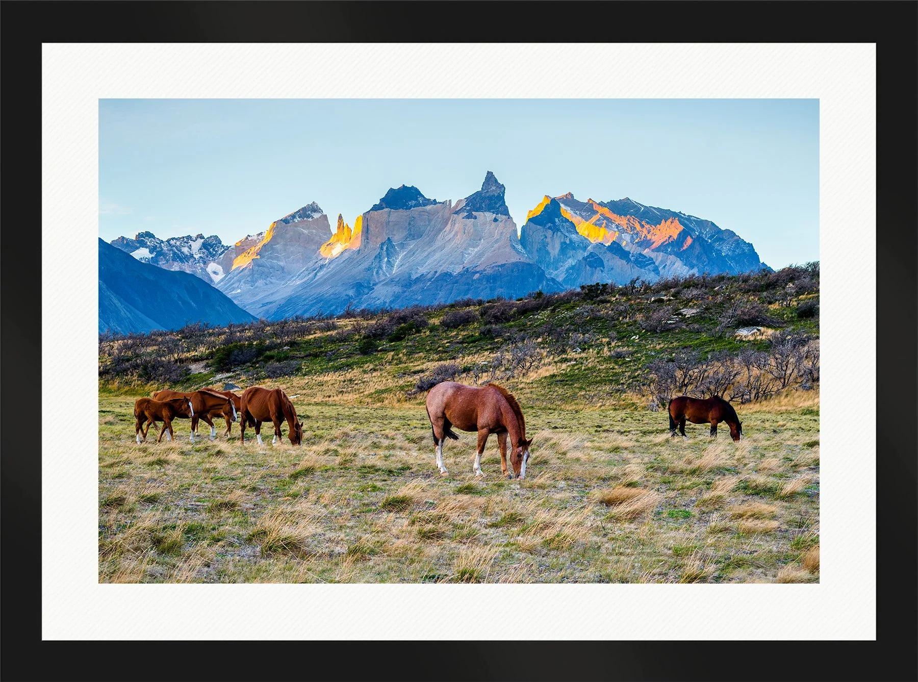 DeBock-Patagonian Horses-Framed-Matte-Black-Wht-Liner-1800x.jpg