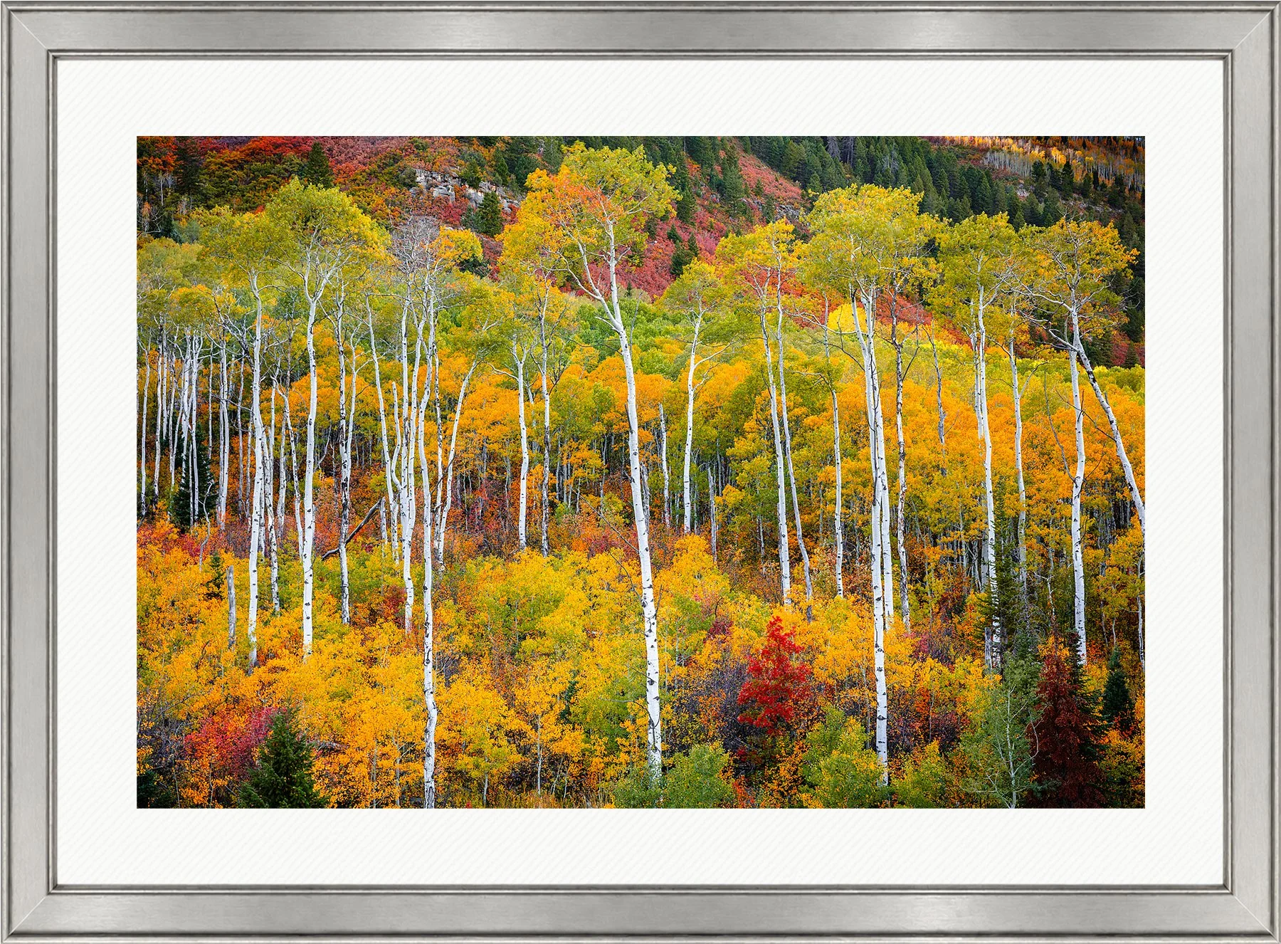 Blake-DeBock-Colorful-Colorado_web-Framed-Brushed-Silver-Wht-Liner_web.jpg
