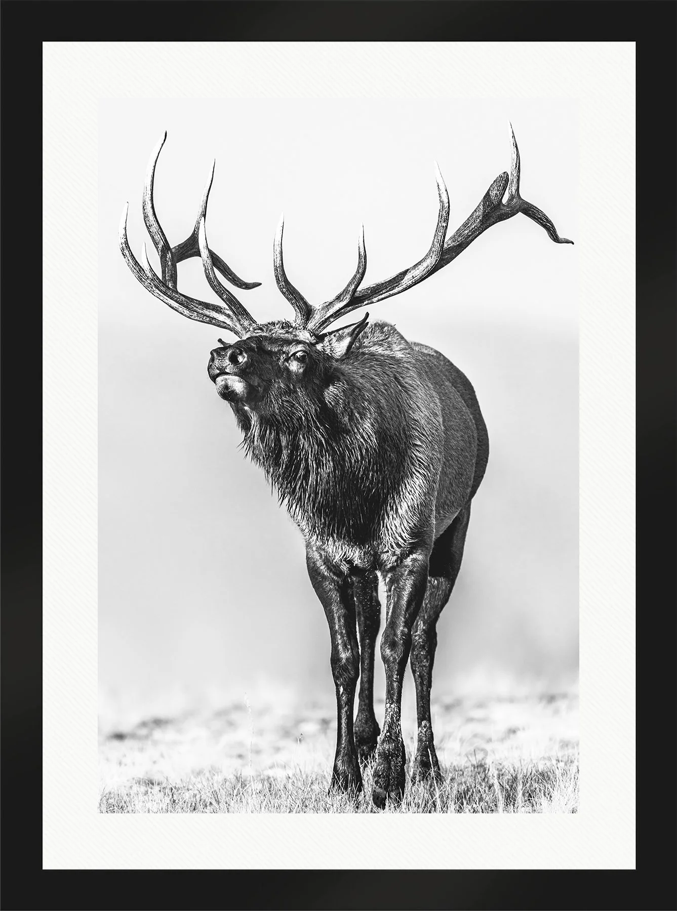 DeBock-Call-Of-The-Wild-Framed-Matte-Black-Wht-Liner-1800x.jpg