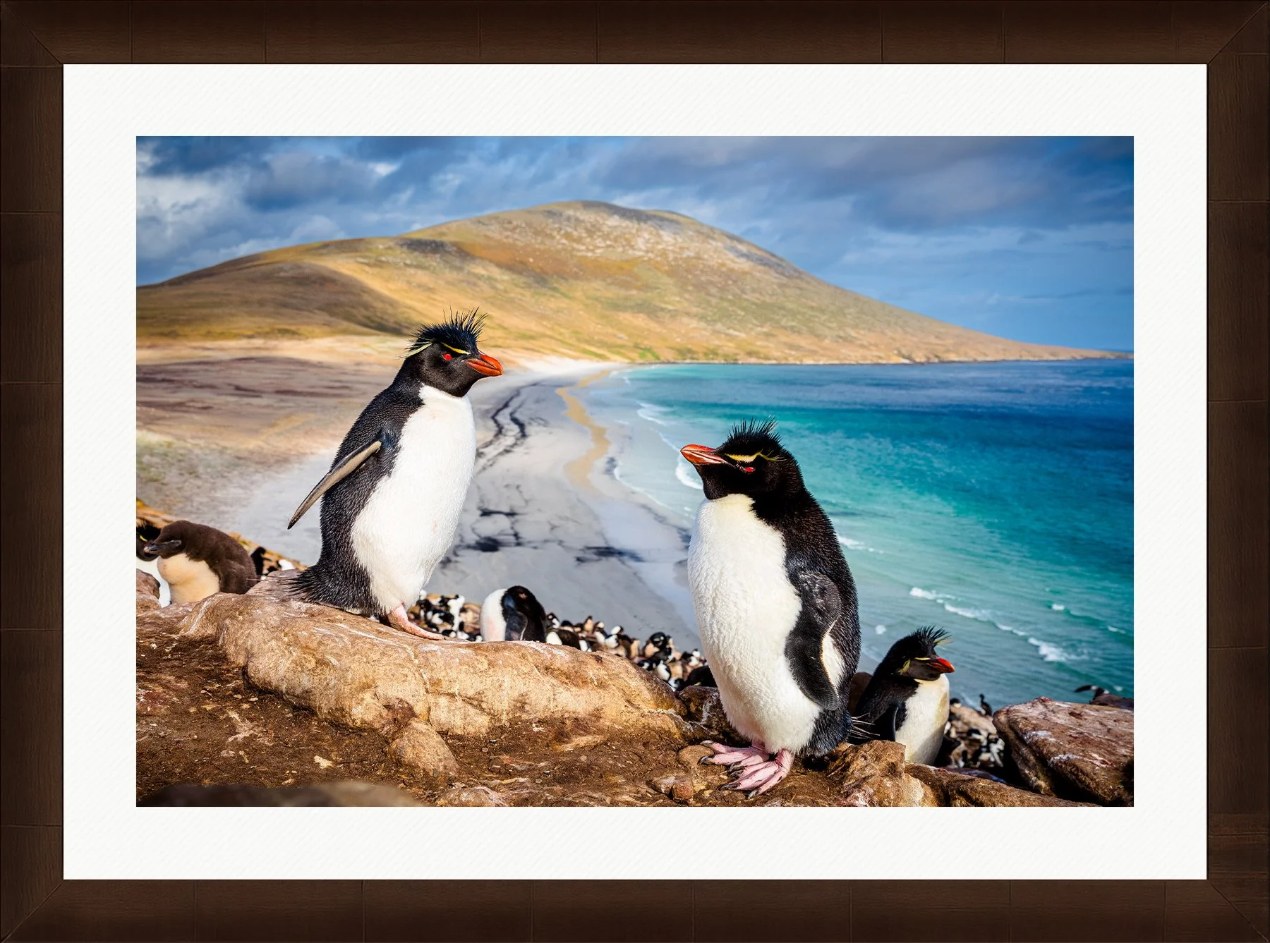 Blake-DeBock-Rockhopper-Colony-Framed-Sequoia-Wht-Liner-1800x.jpg
